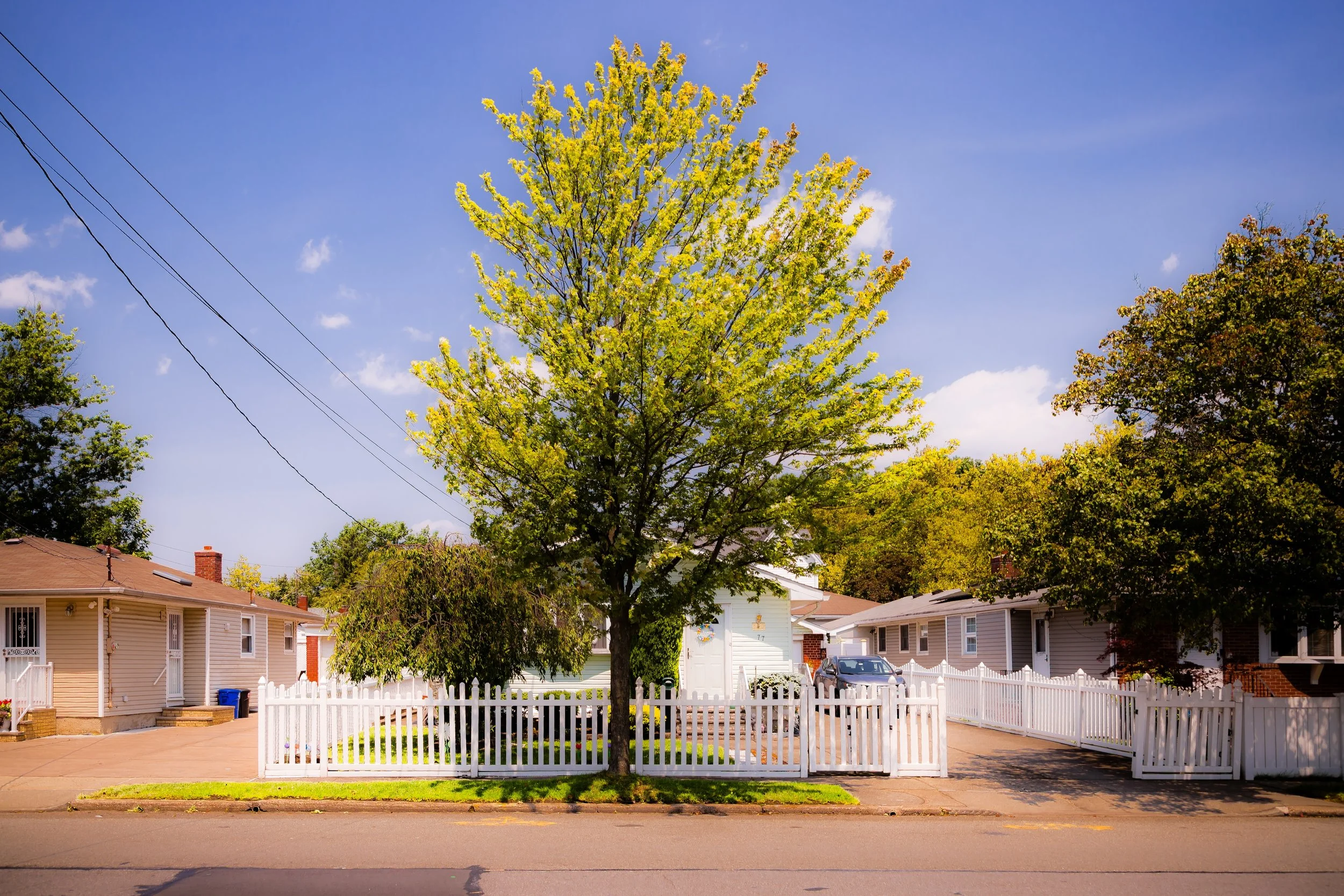 Residential neighborhood with houses, trees, white picket fences, parked cars, and a clear blue sky.