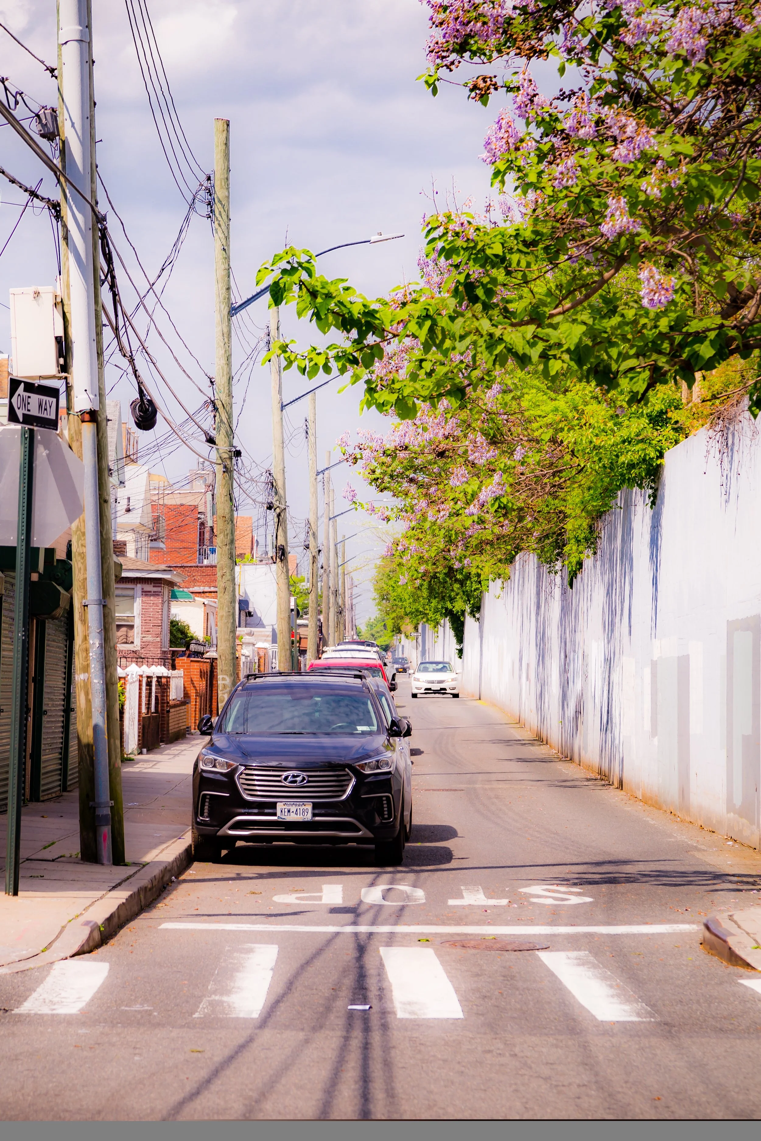 A residential urban street with parked cars along one side, a white wall, trees with purple flowers, utility poles with wires, a stop sign, and a crosswalk in the foreground.