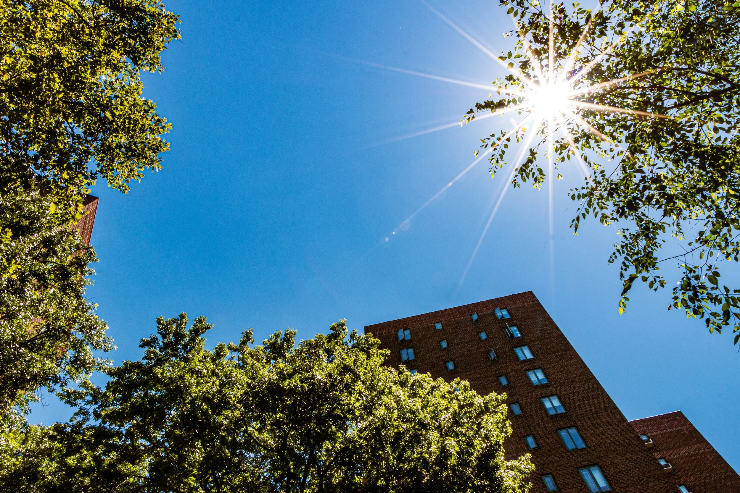 Bright sun shining through green trees and a brick building against a clear blue sky.