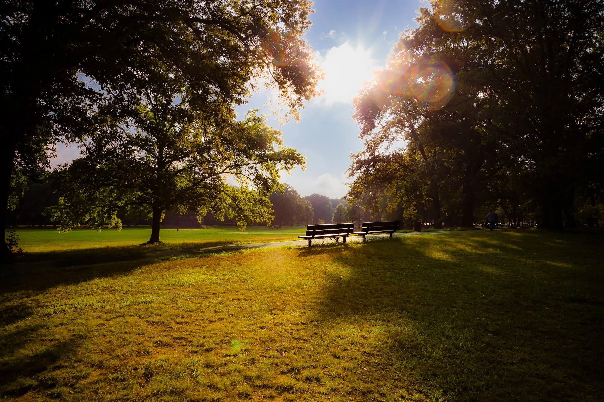 Morning Benches - Click To Purchase Print