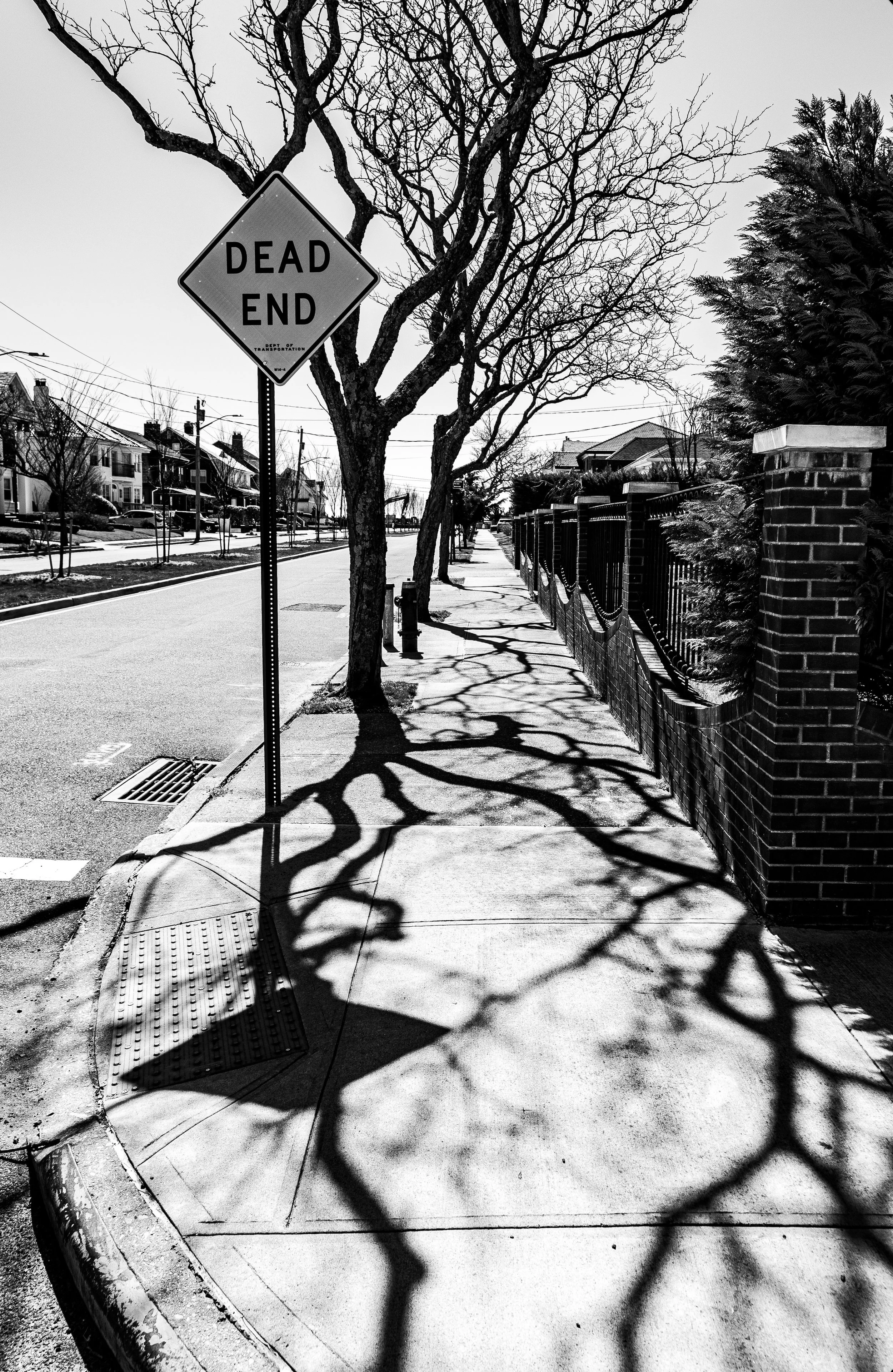 Black and white photo of a residential street with a 'Dead End' sign, leafless trees casting shadows on the sidewalk, a brick fence, and houses in the background.