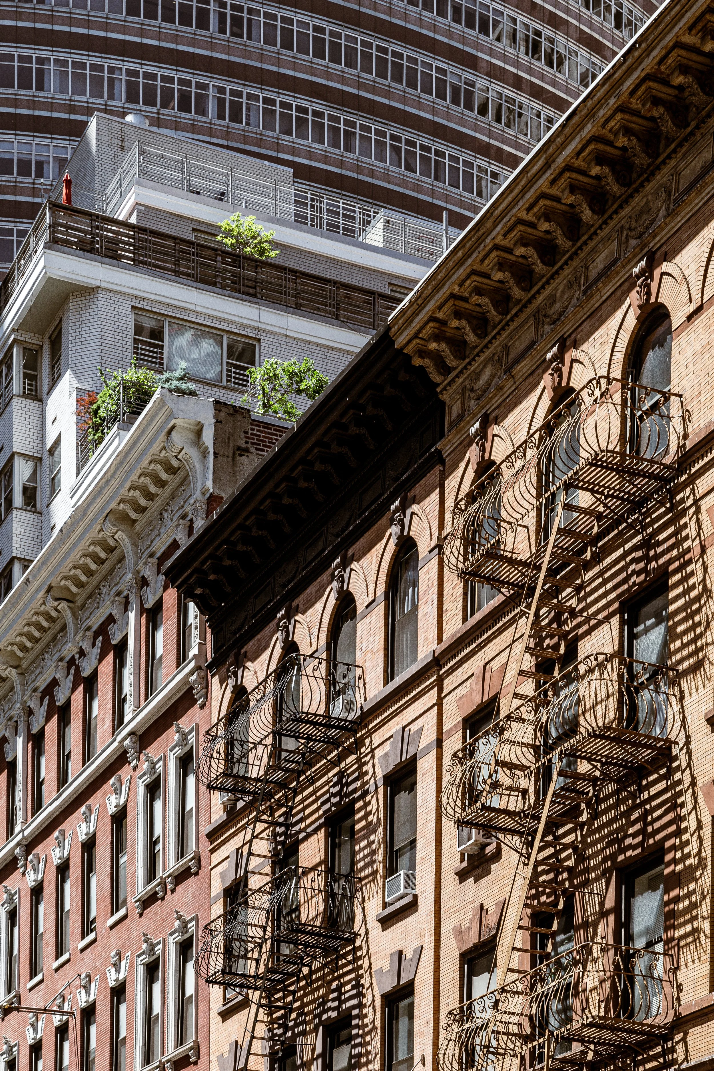 A cityscape showing the upper stories of brick apartment buildings with fire escape ladders and shadows cast by the fire escapes, contrasted with a modern high-rise in the background with balconies and rooftop greenery.