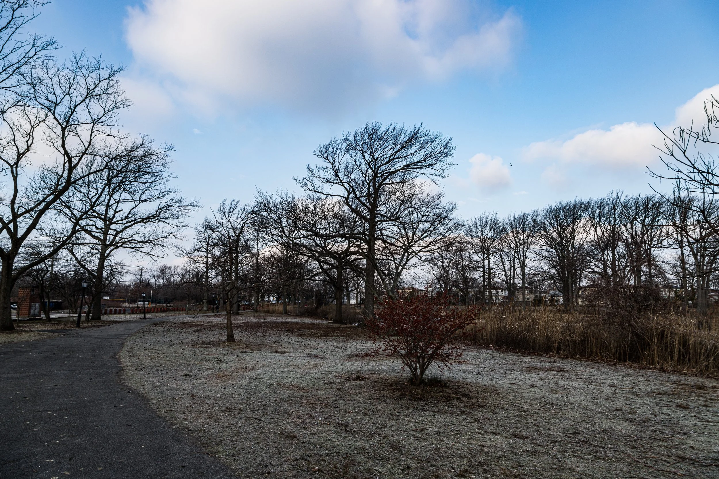 A park scene with leafless trees, a partly cloudy sky, and a winding pathway.