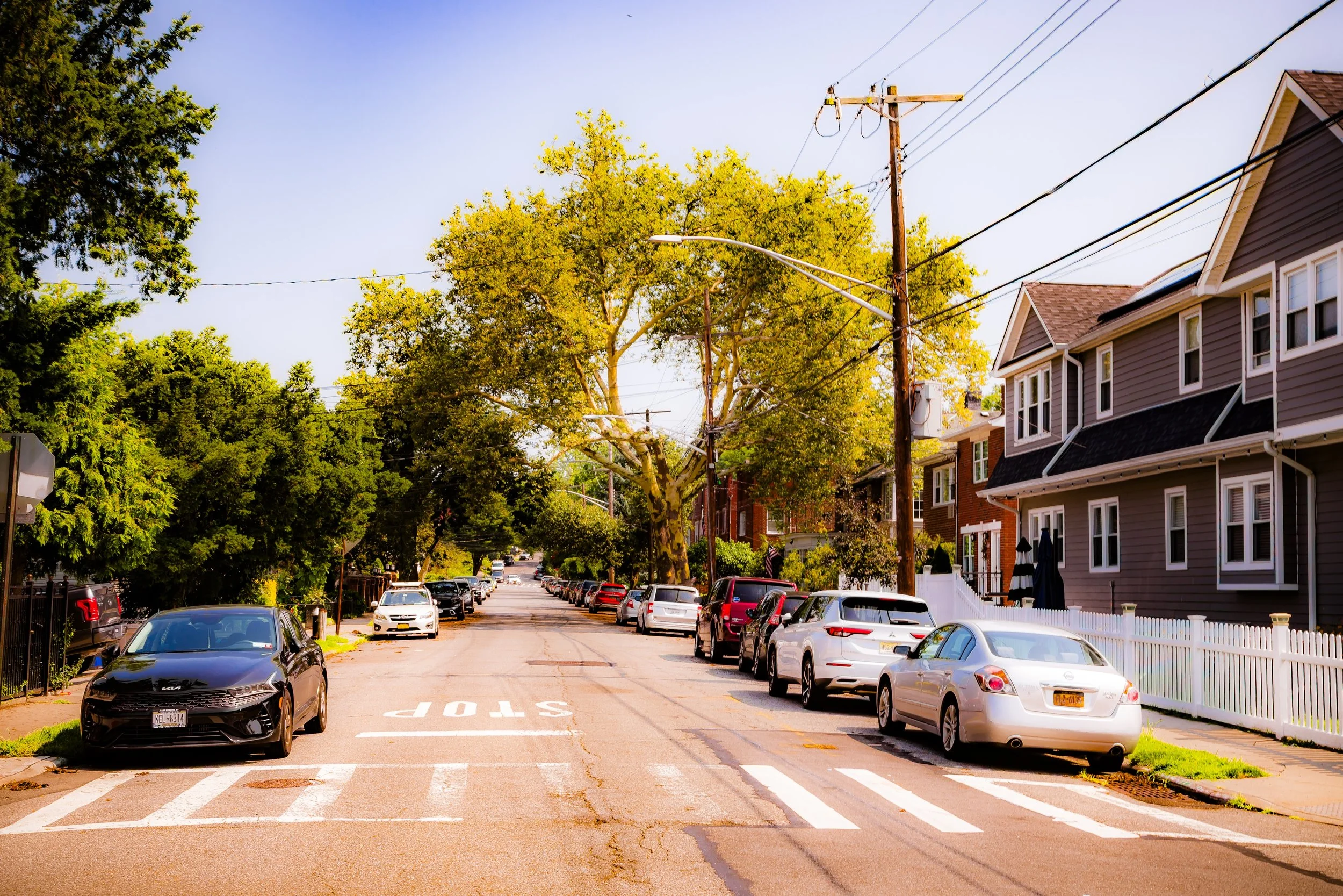 A residential street lined with parked cars, trees, and houses on a sunny day.