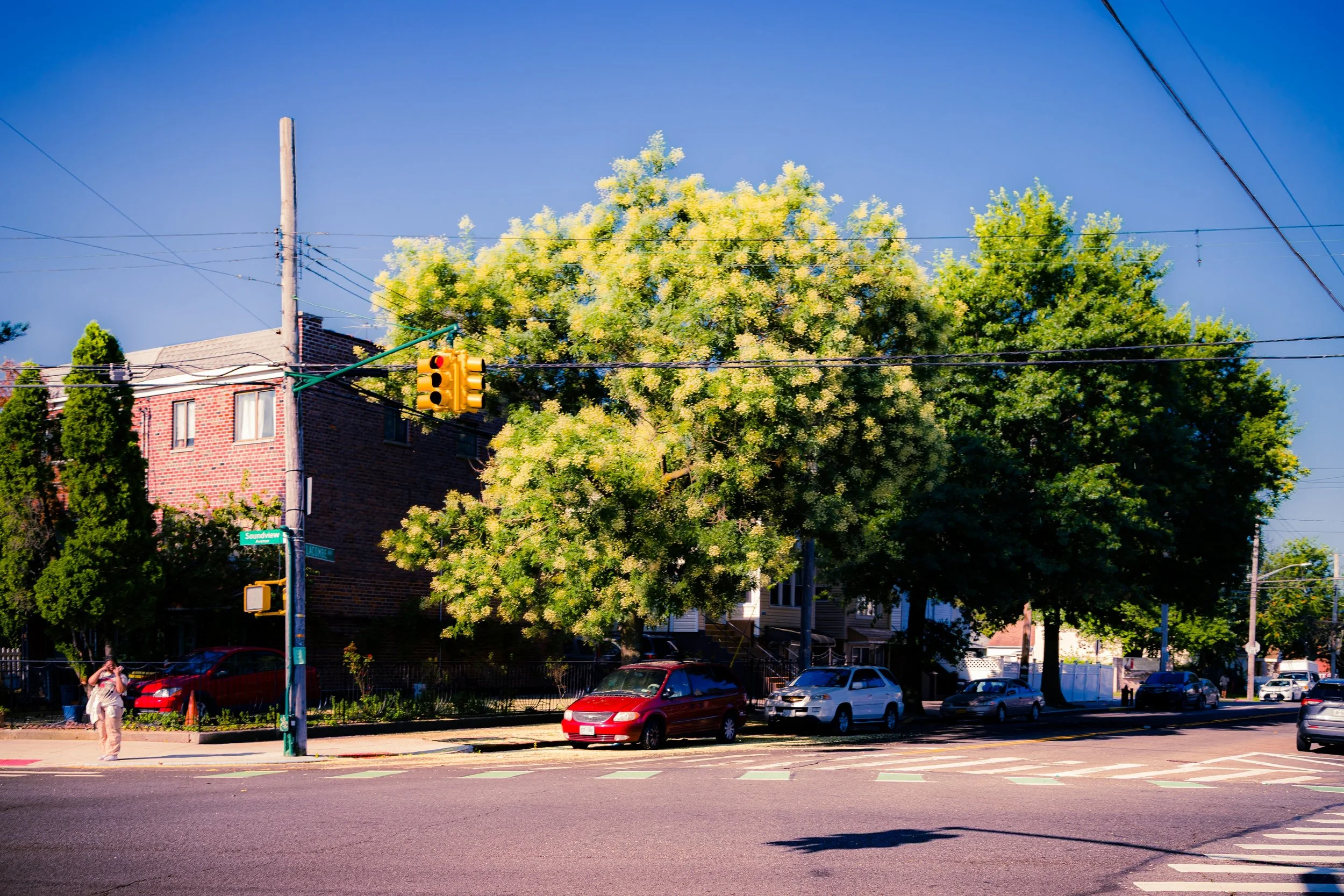 Street scene with trees, cars parked along curb, traffic light, and a person standing on sidewalk taking a photo.