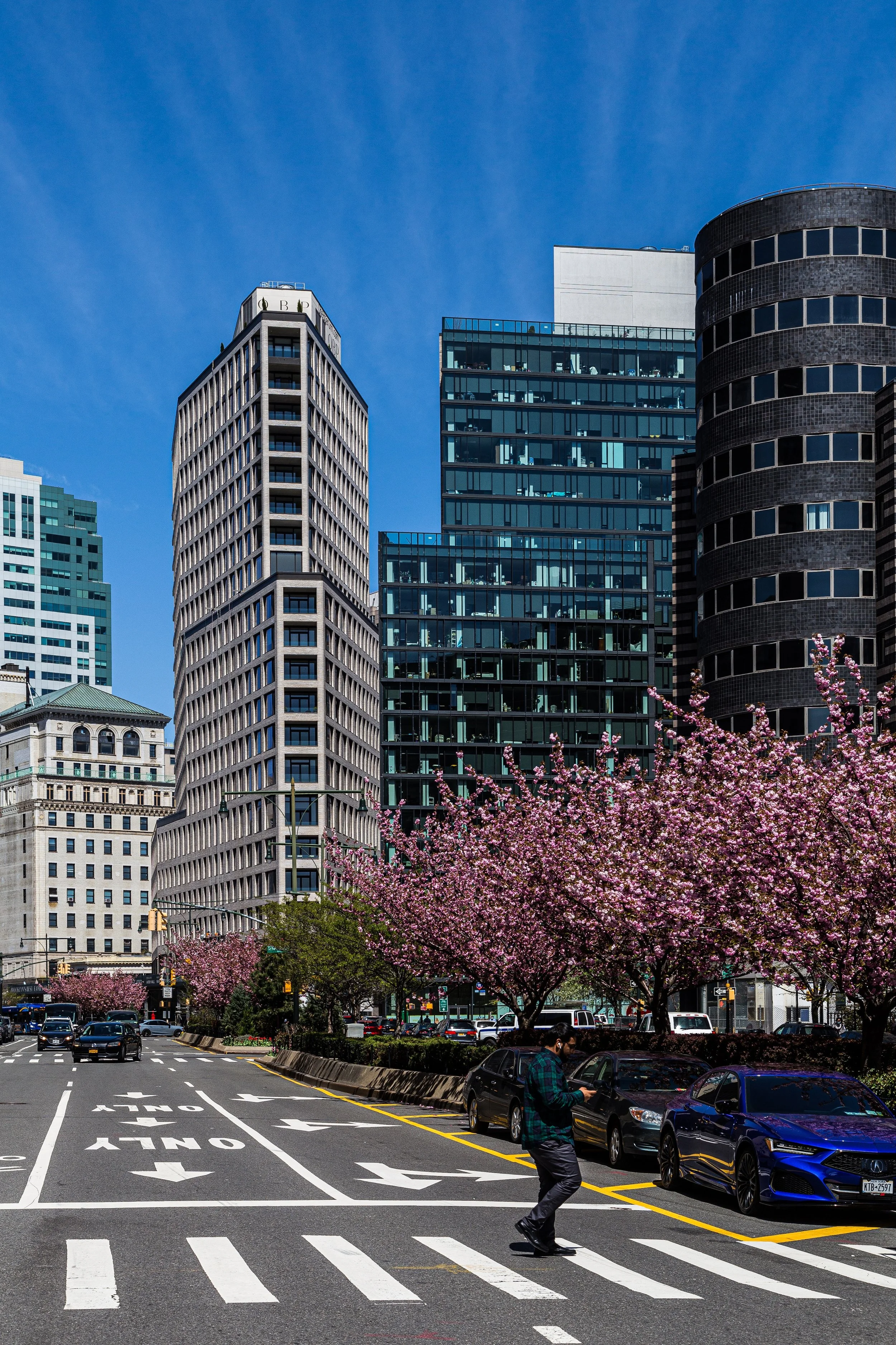 City street with high-rise buildings, pink blossoming trees, parked cars, and a person crossing the street during daytime.