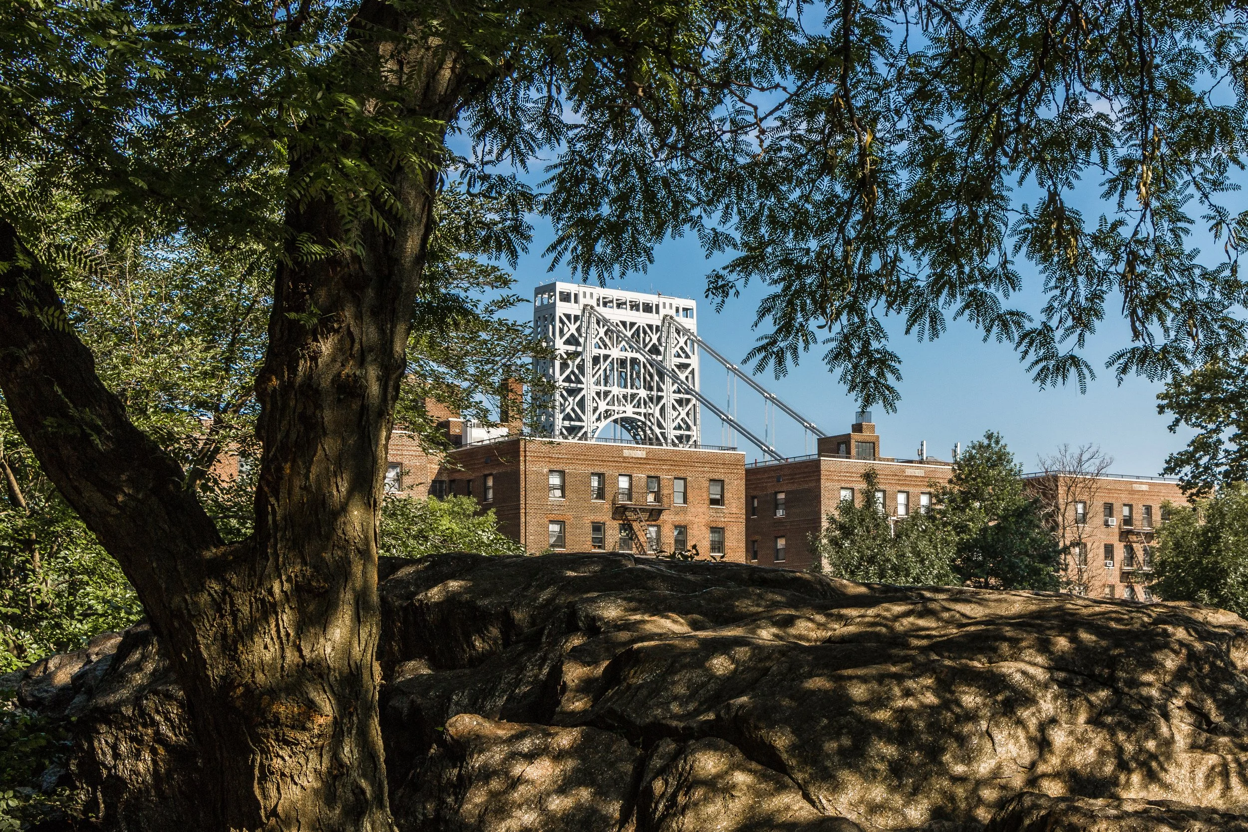View of the Manhattan Bridge seen through trees in a park with rocks in the foreground and old brick buildings in the background.