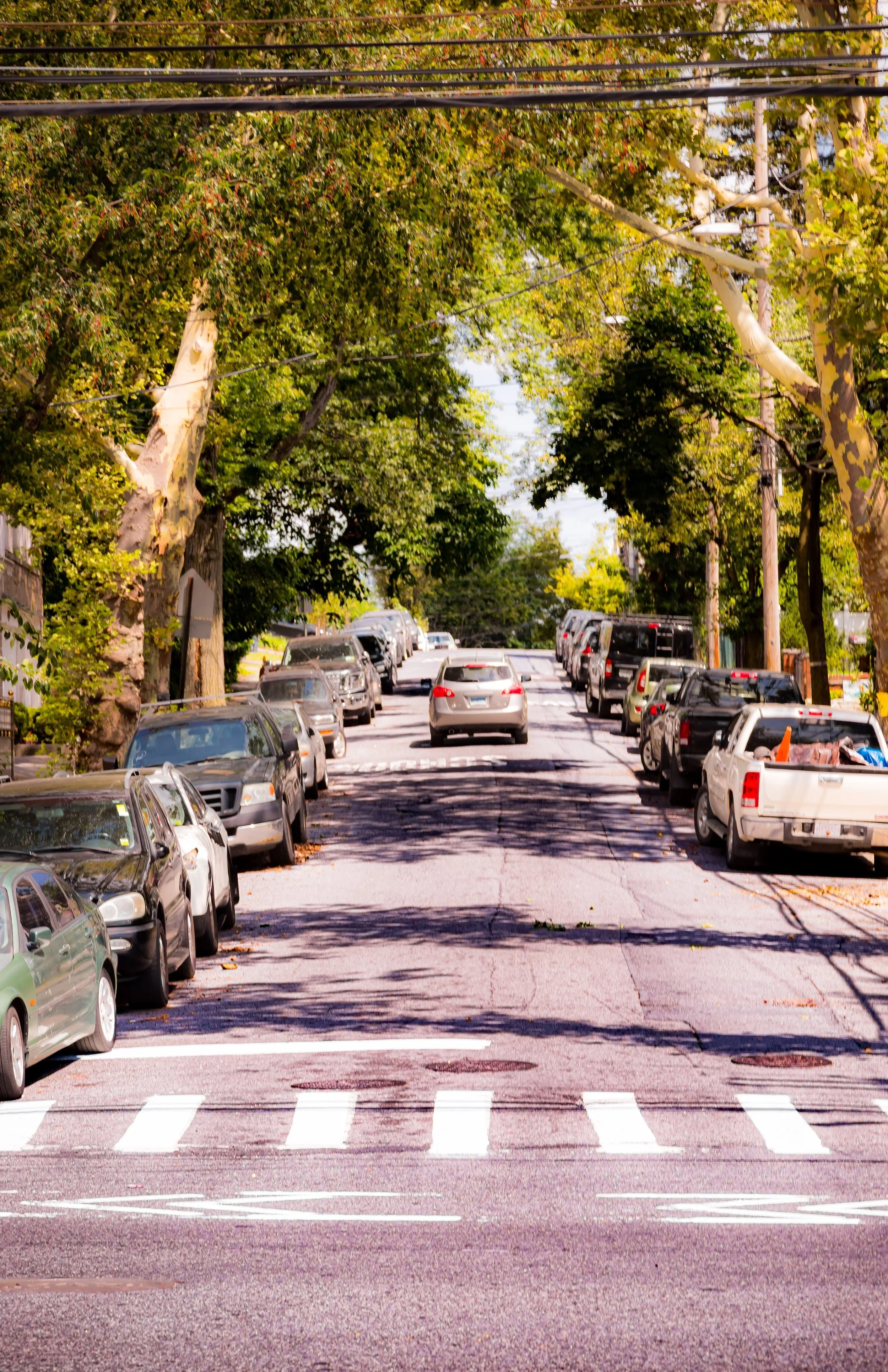 A residential street with parked cars on both sides, large trees lining the street with green leaves, and utility poles with wires overhead.
