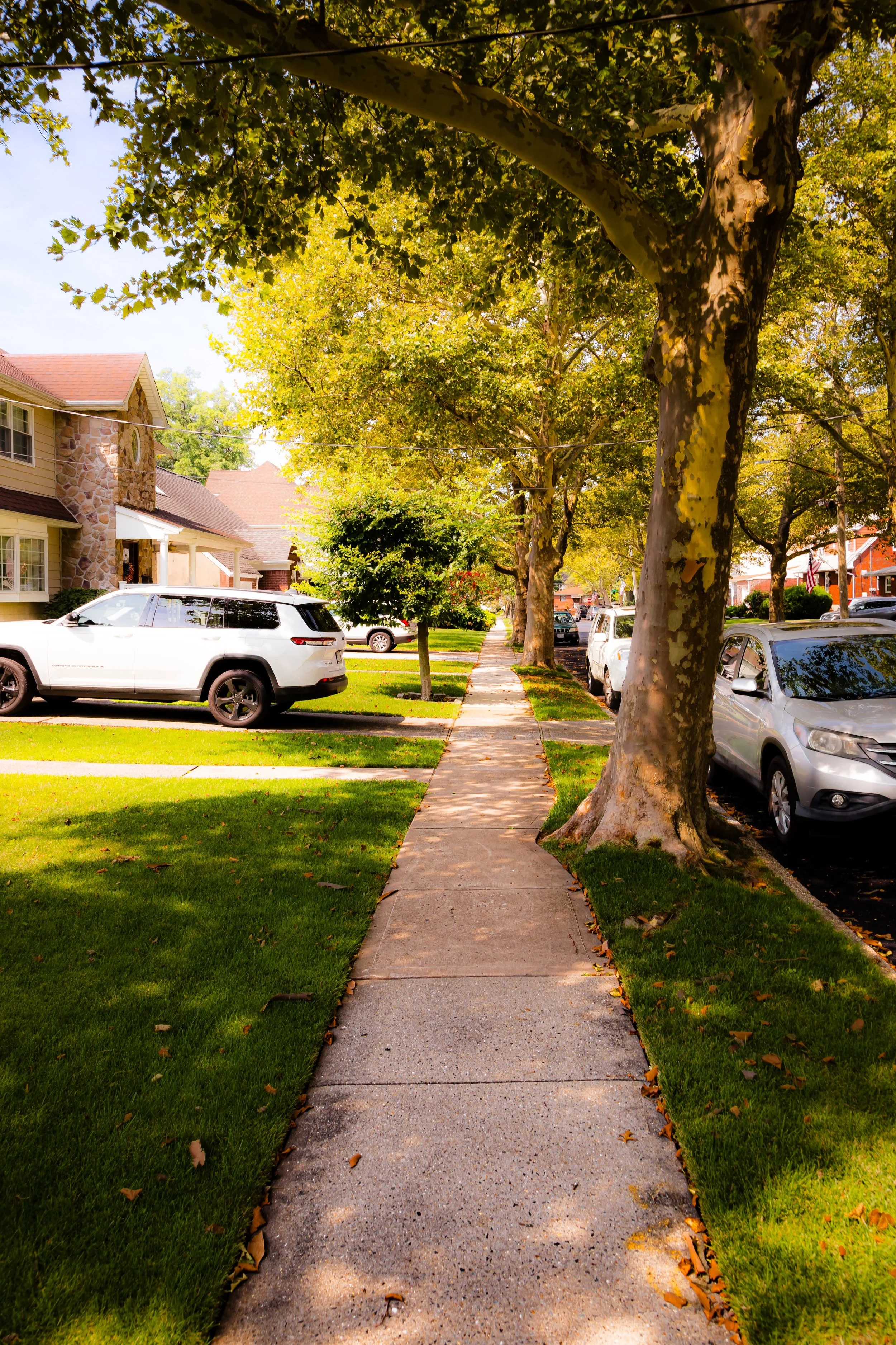 A residential neighborhood sidewalk lined with trees and parked cars under a sunny sky.