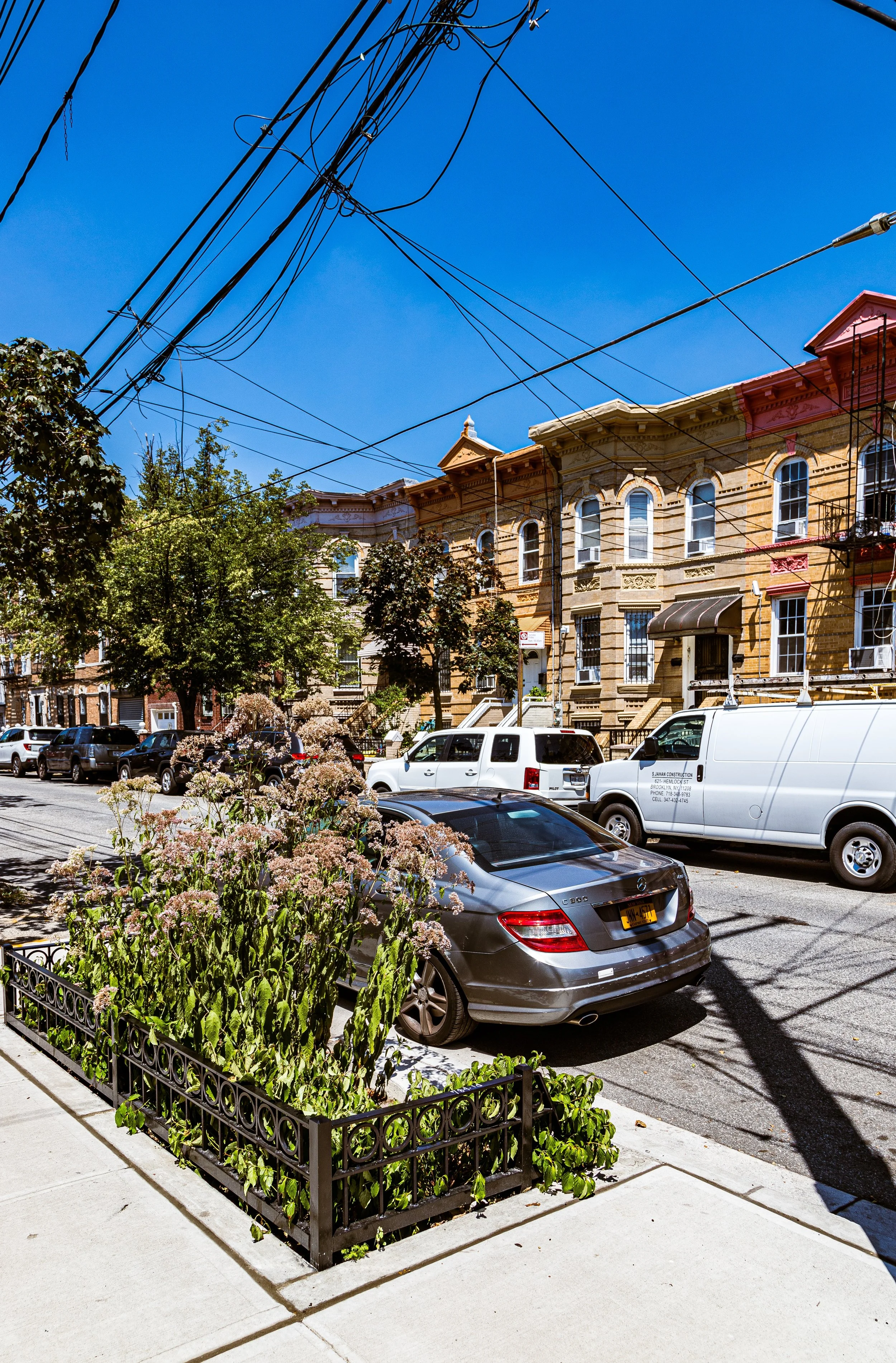 City street with parked cars, flowering bush, row of brown brick townhouses, overhead power lines, and a bright blue sky.
