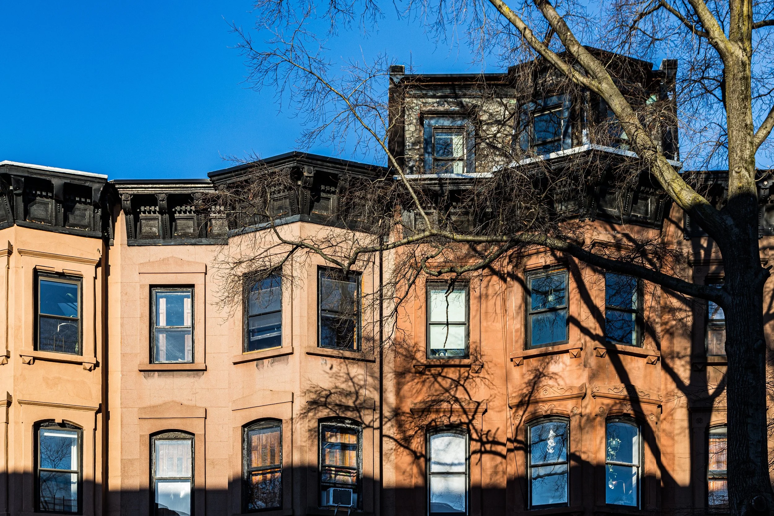 A row of brown and peach-colored residential buildings with multiple windows, a tree with leafless branches casting shadows on the facade, and a clear blue sky.