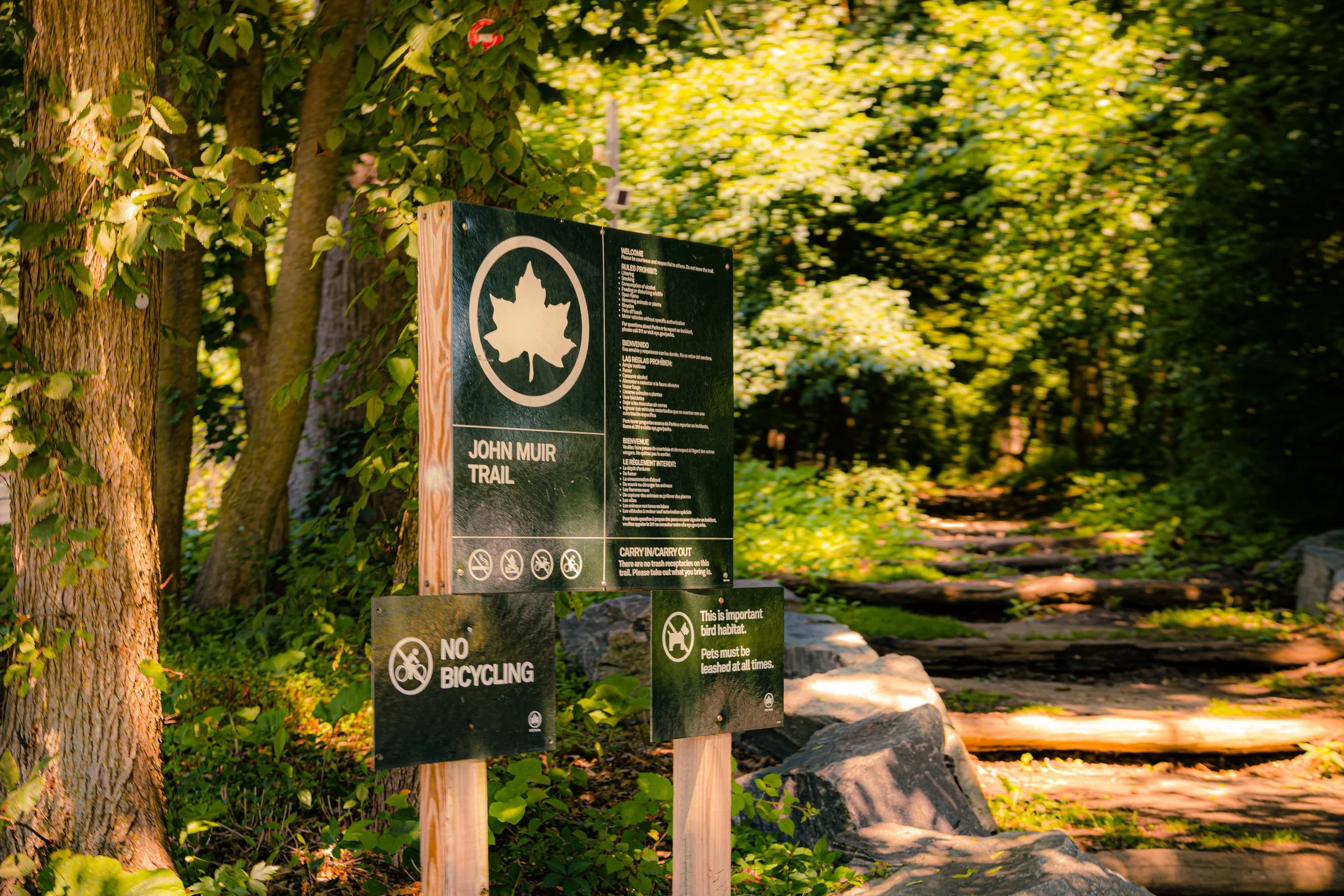 Trail sign for John Muir Trail surrounded by trees and greenery, with a rocky pathway leading into the woods.