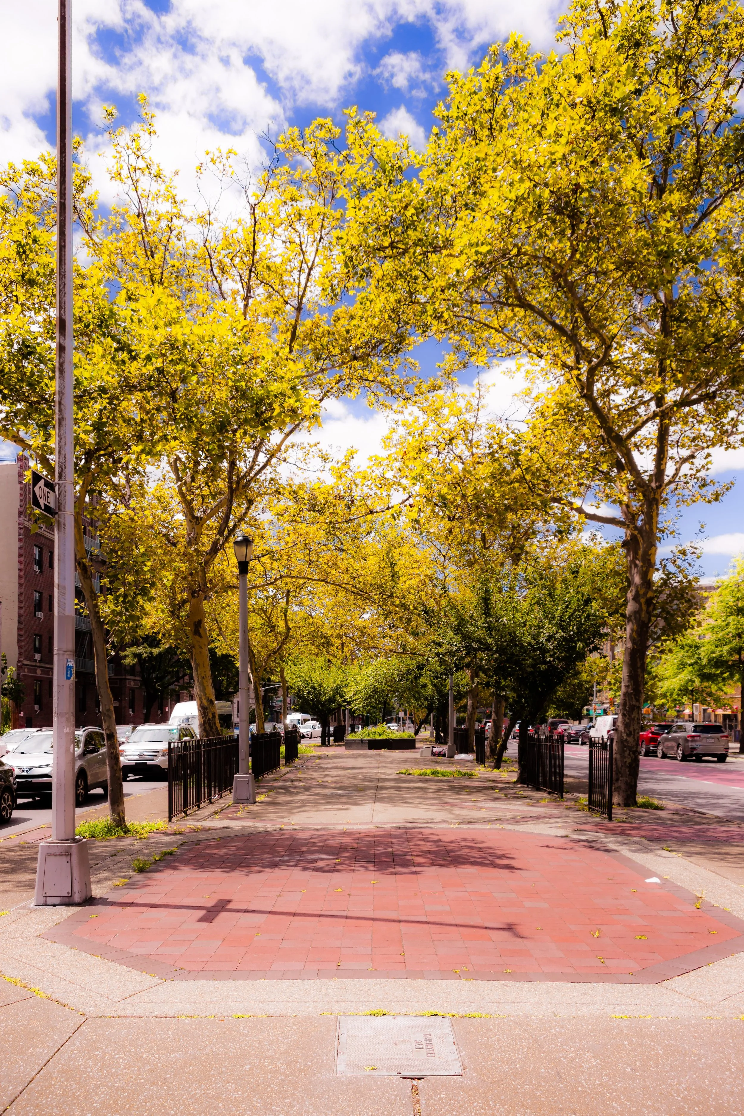 A sidewalk lined with trees with yellow and green leaves under a partly cloudy sky with blue background, situated in an urban area with parked and moving cars and buildings.