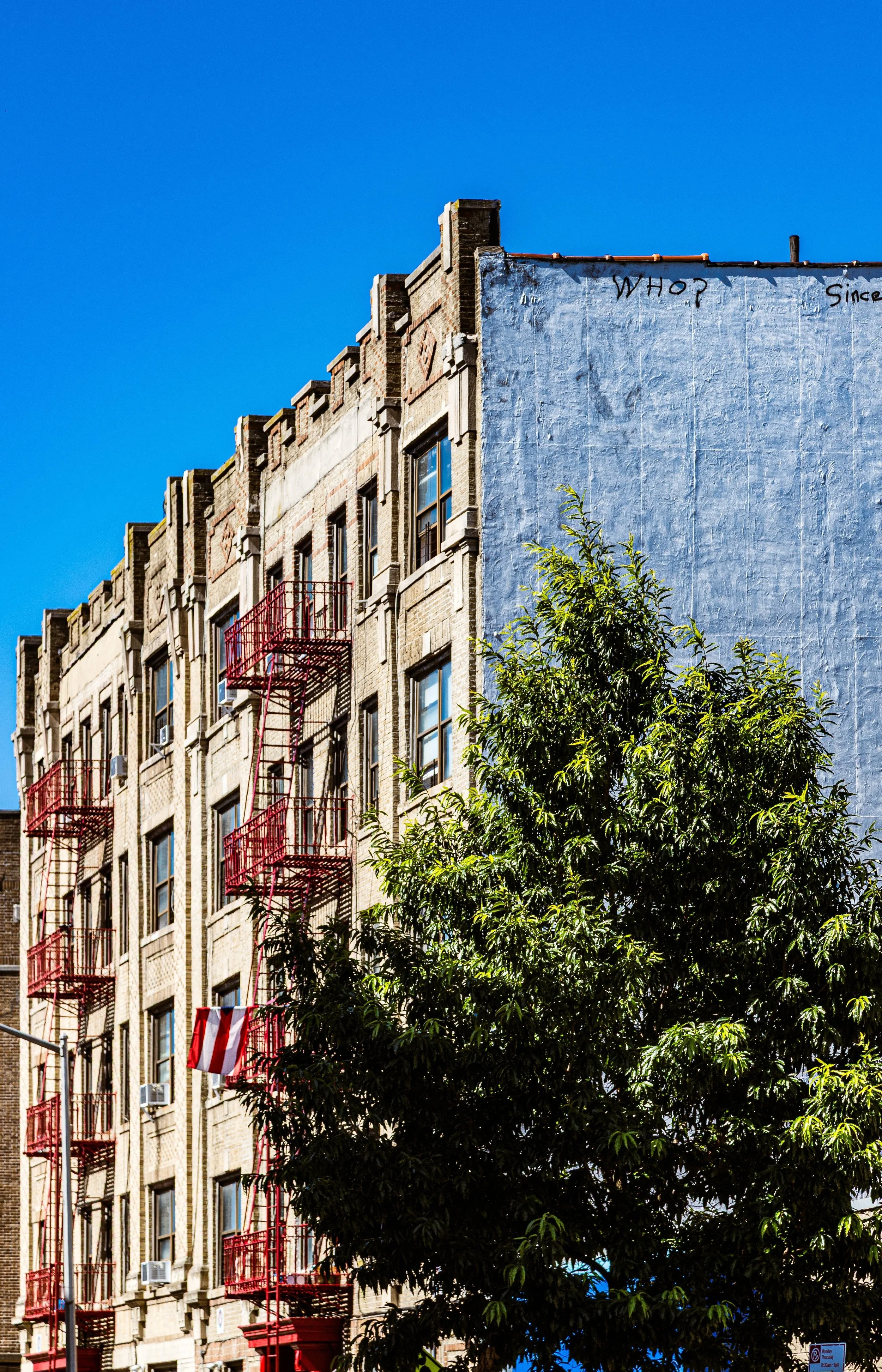 A multi-story brick building with fire escape stairs on the front, next to a white painted wall with graffiti text on top, a green leafy tree in front, and a clear blue sky in the background.