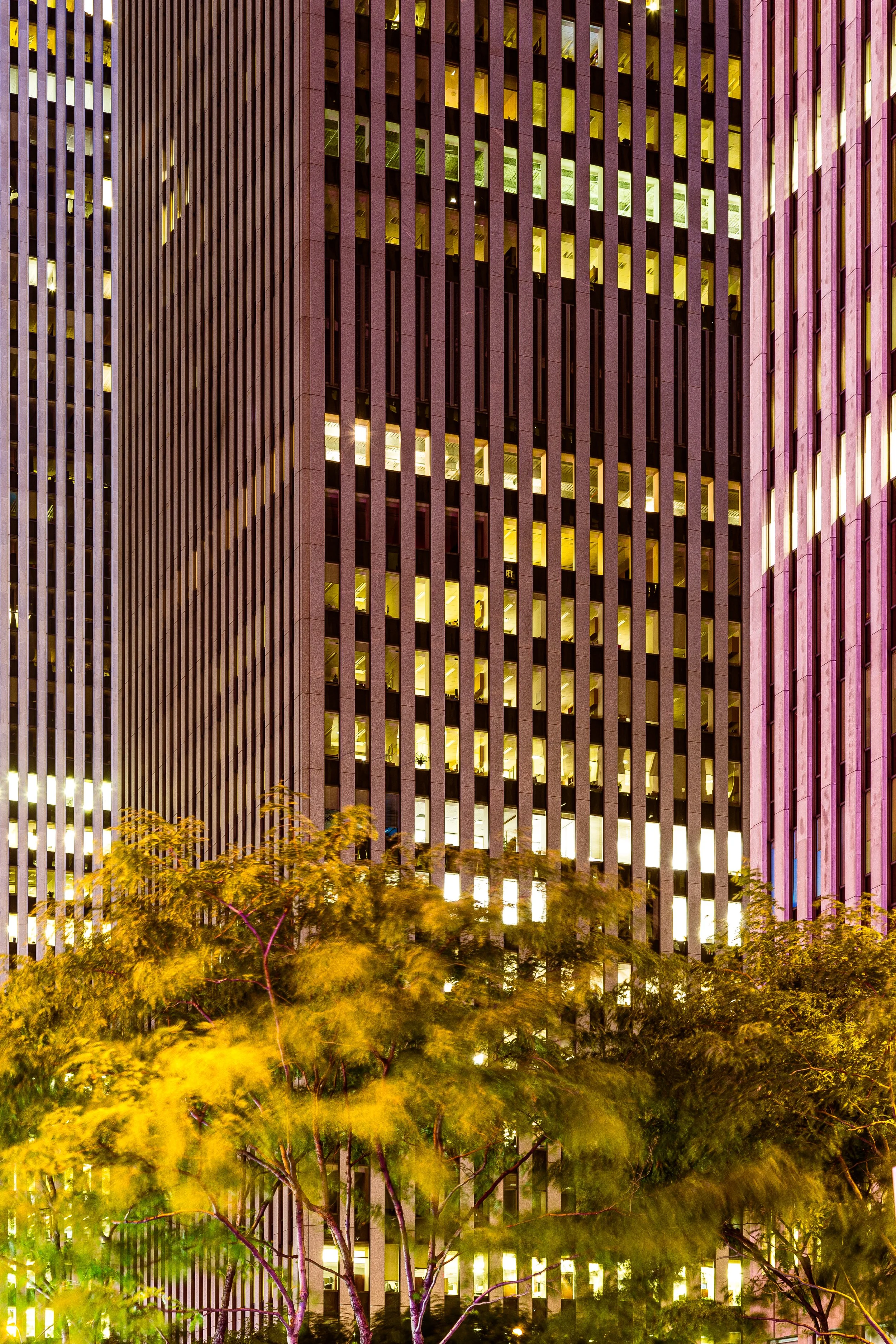 Night view of tall office buildings with lit windows and trees in the foreground