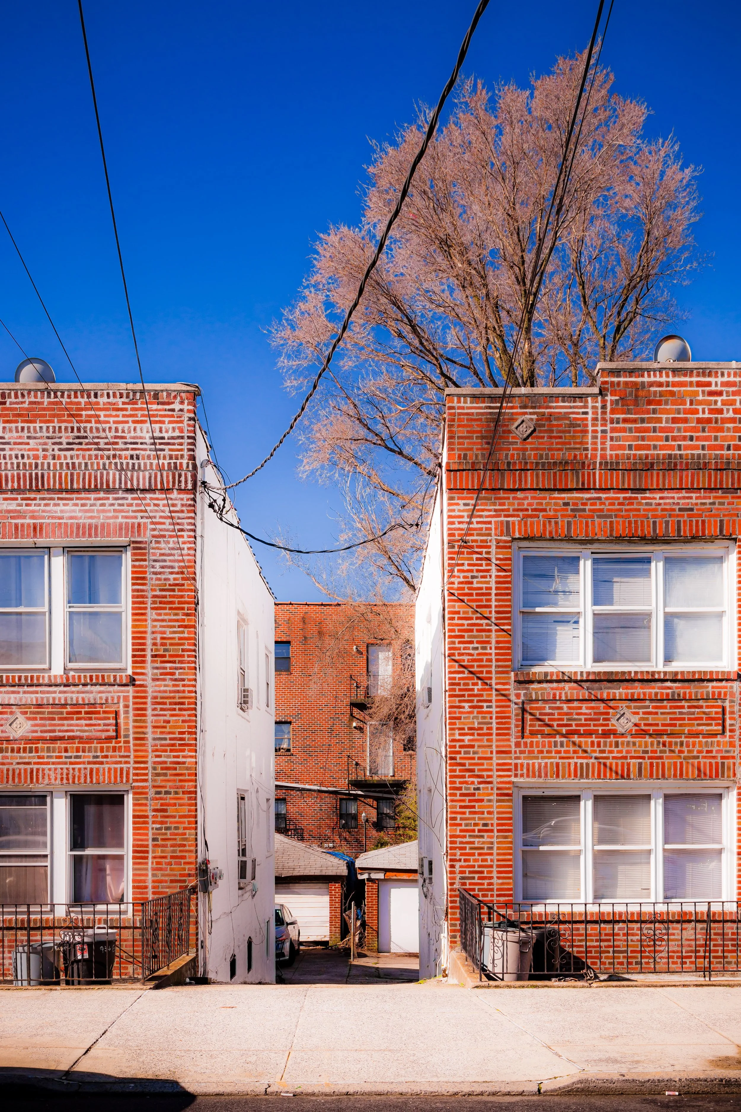 View of a narrow alleyway between red brick apartment buildings with a large tree with no leaves in the background and a clear blue sky.