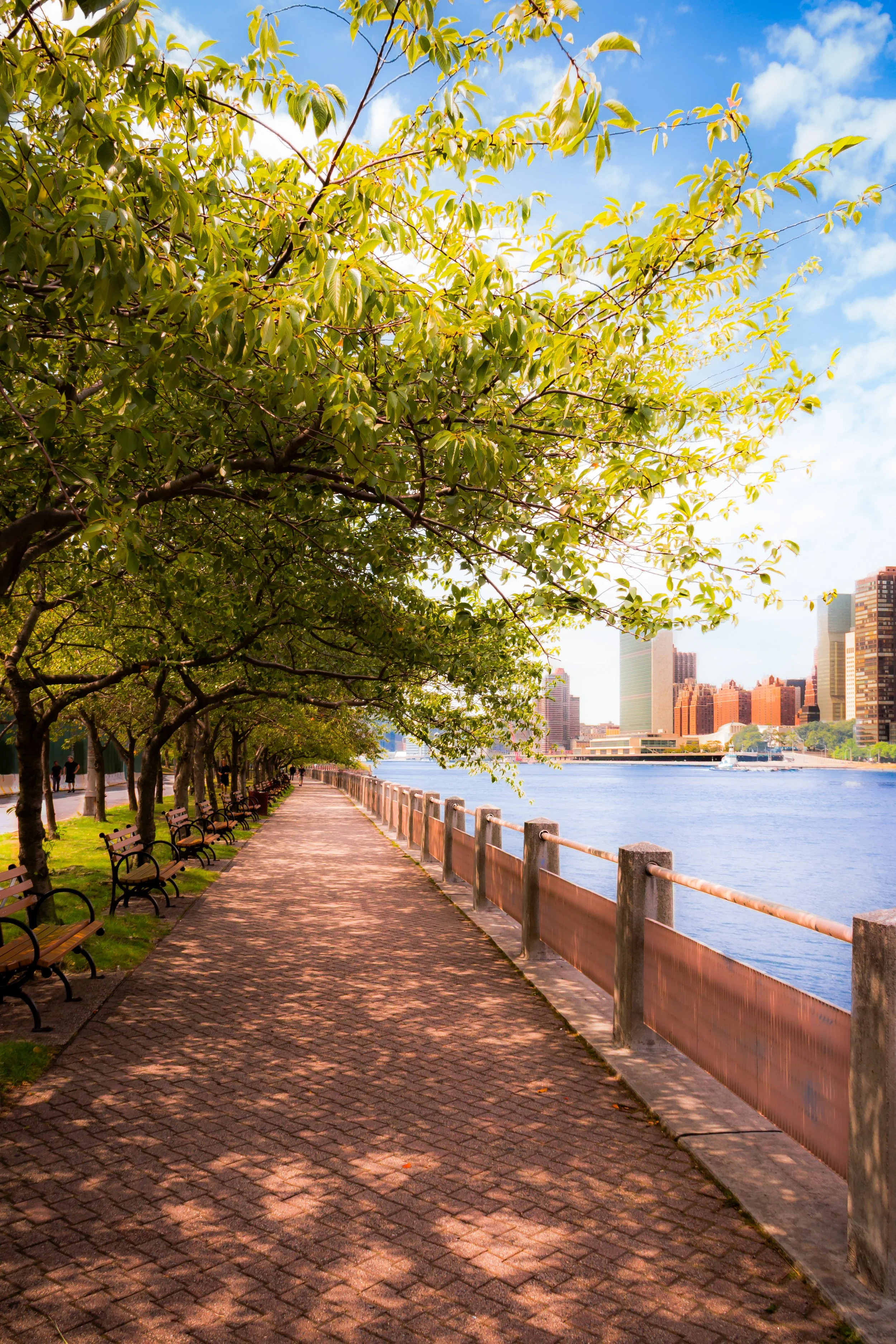 A peaceful riverside walkway lined with trees and benches, with a city skyline across the water under a partly cloudy sky.