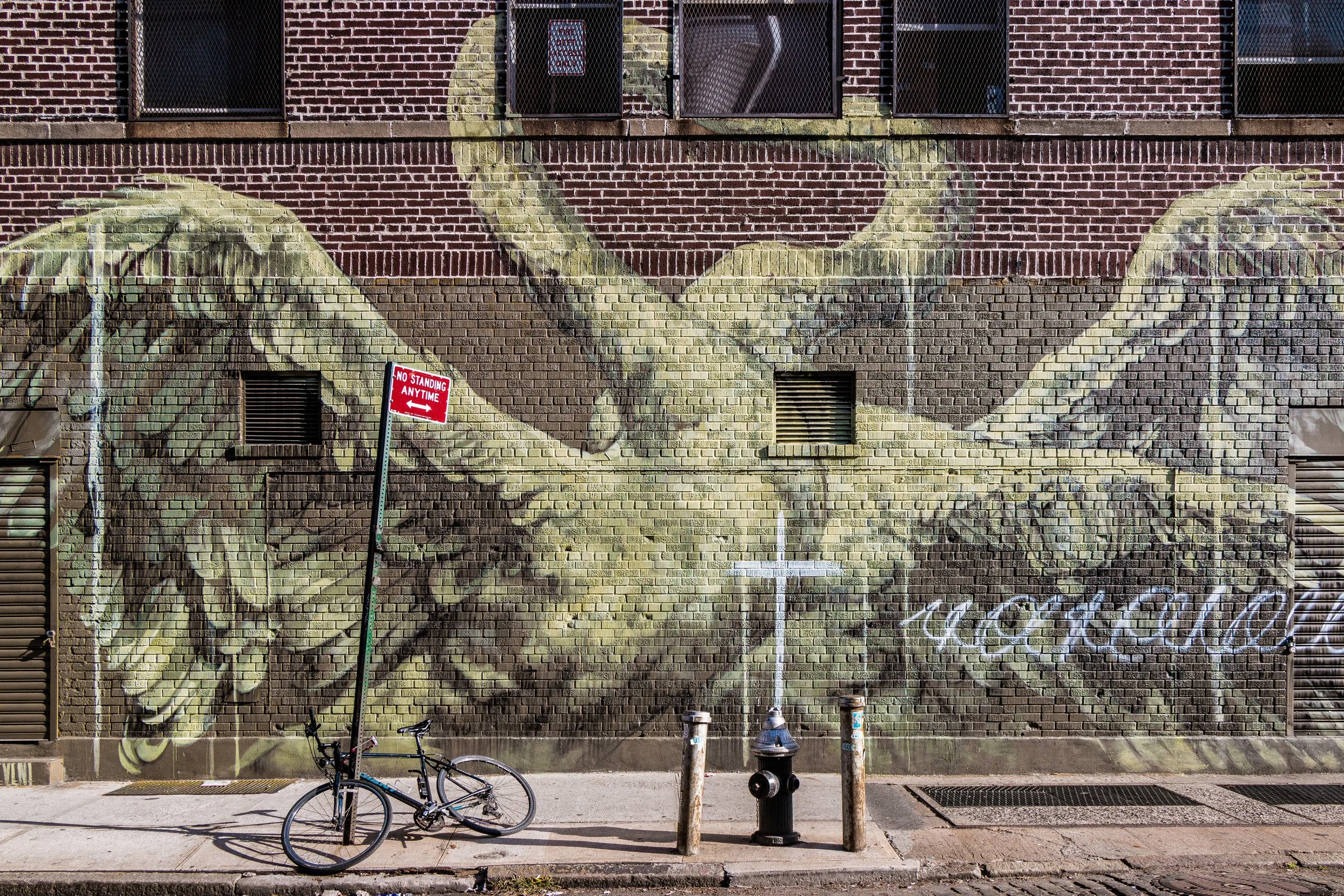Mural of a lion with a crown painted on a brick wall, with a cross and the word "peace" written below it; bicycle, parking meter, and fire hydrant in front.