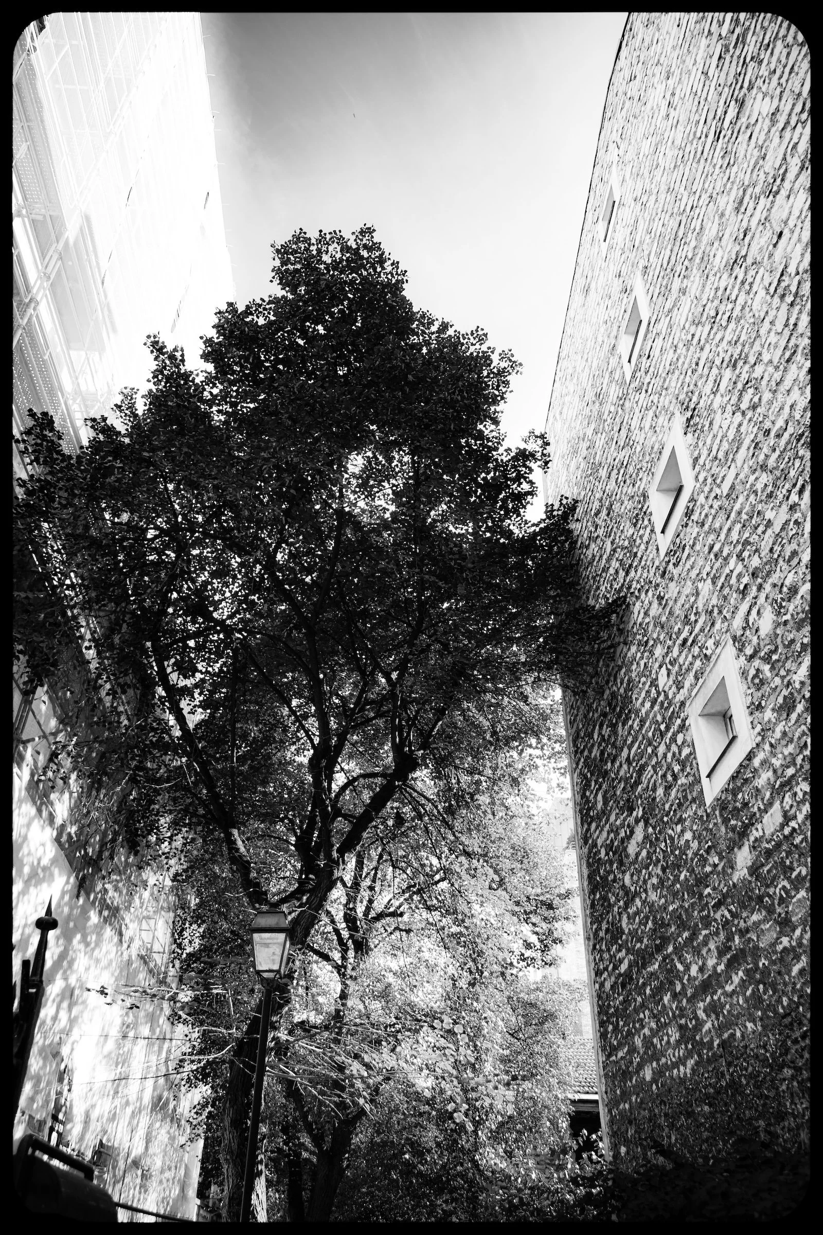 Javel — Paris — Arbor Silhouette