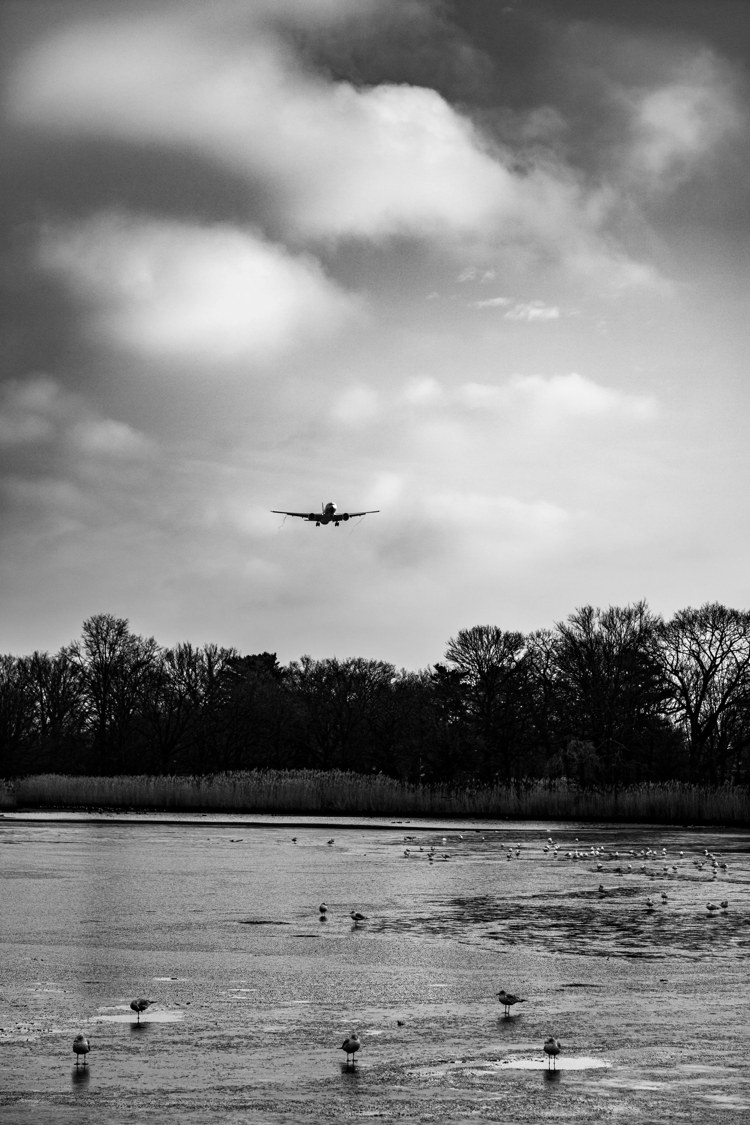 A black and white photo of a landscape with a lake in the foreground, trees along the back edge, and an airplane flying low over the trees in the sky.