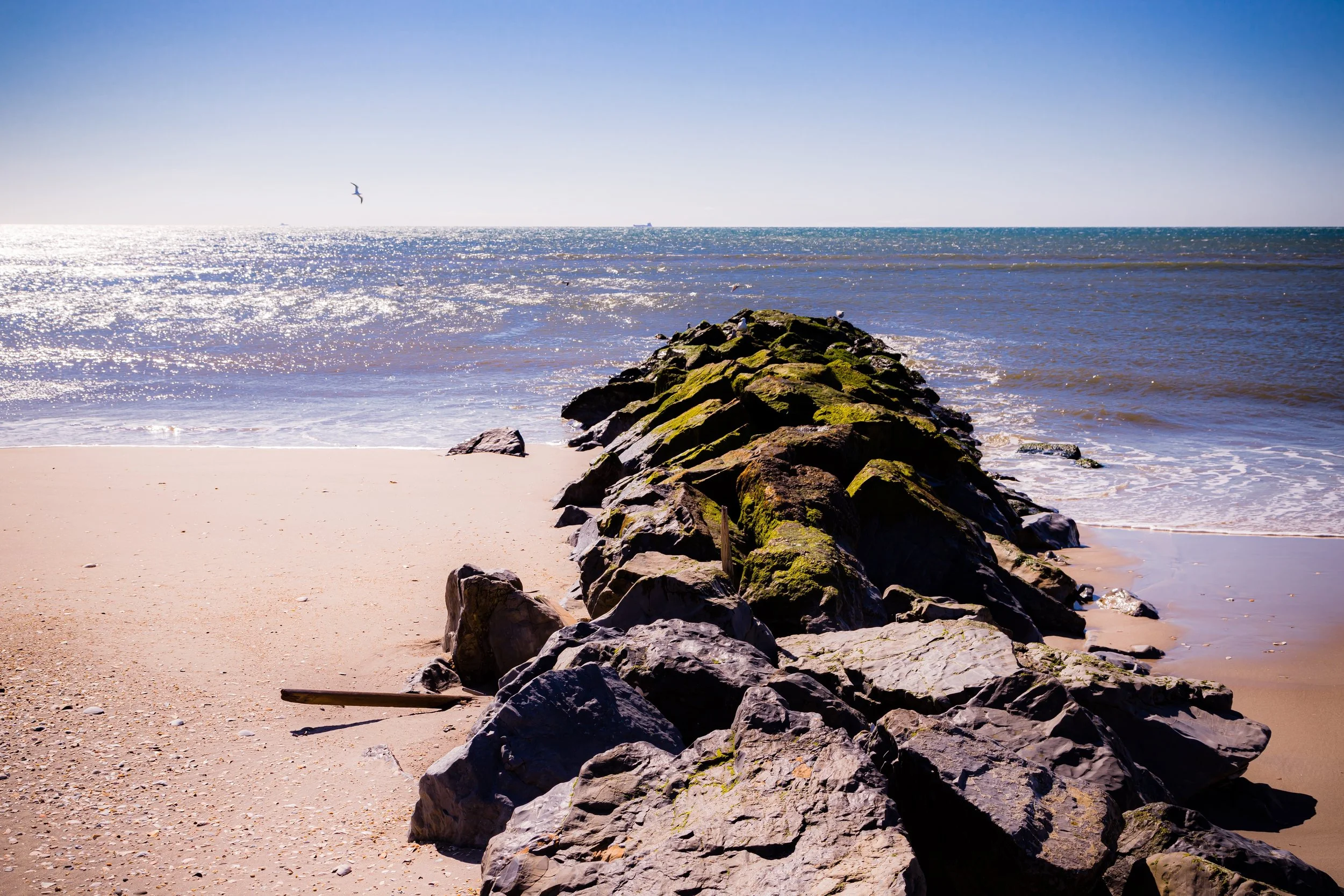 View of a sandy beach with a rocky jetty extending into the ocean, with a seagull flying in the sky.