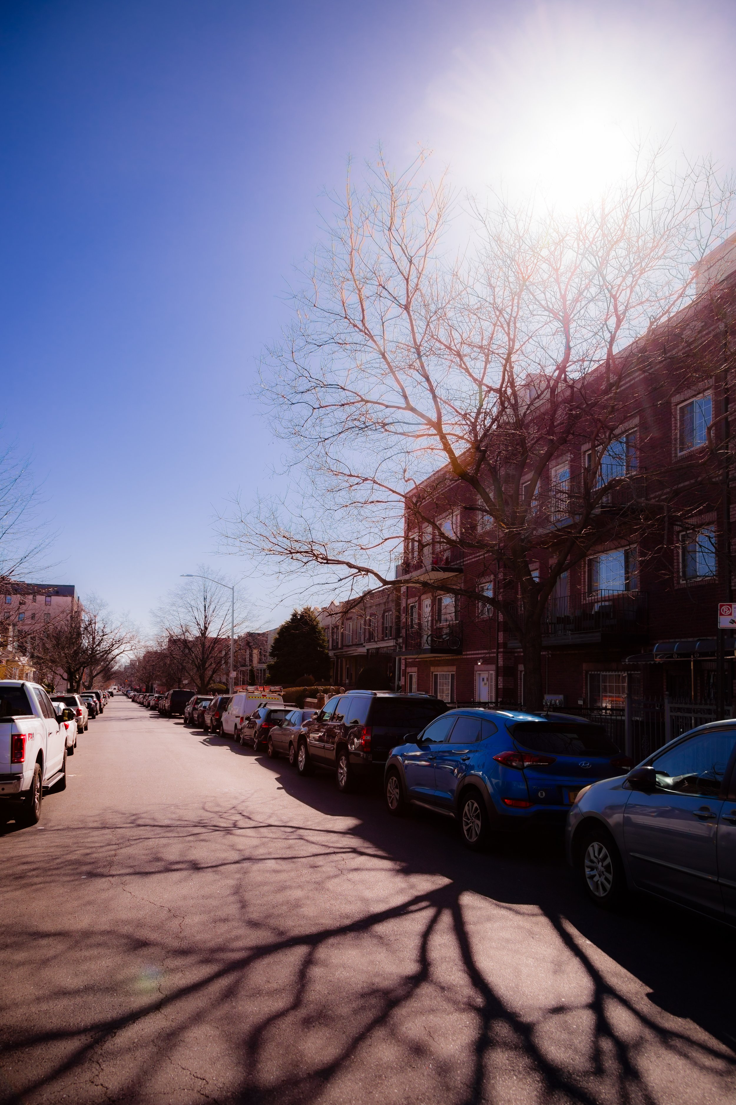 Sunlit residential street with leafless trees casting shadows on the pavement, parked cars along the curb, and apartment buildings on the right.