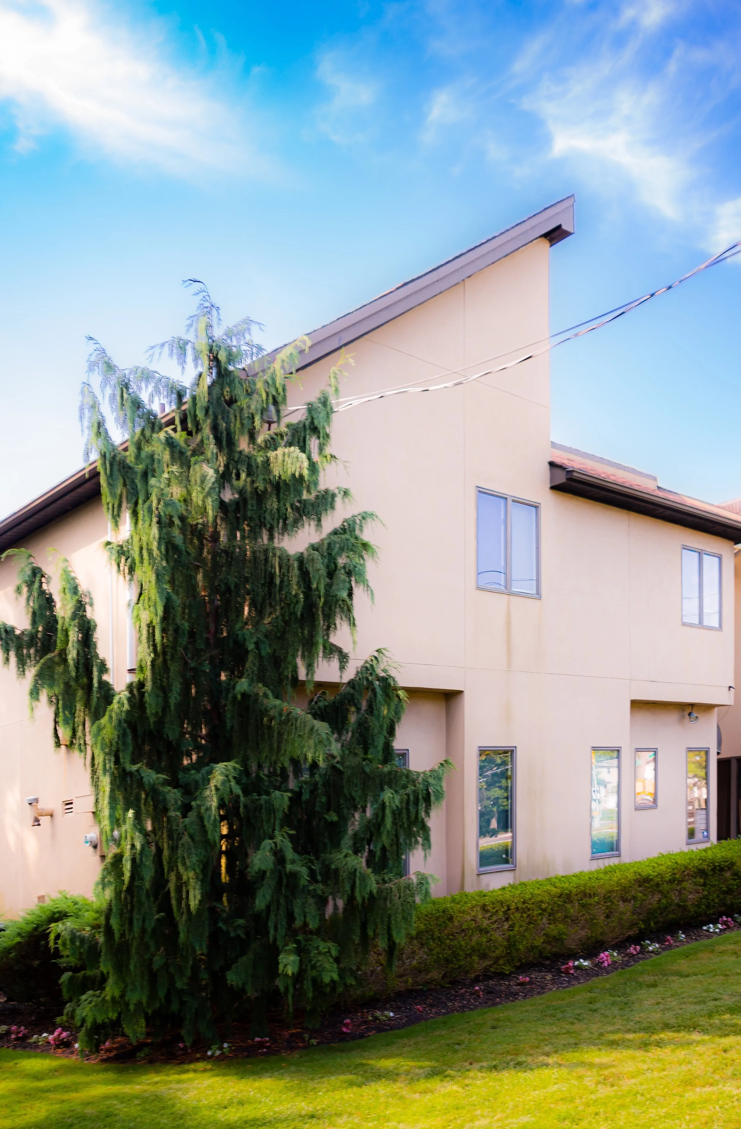 A beige multi-story building with rectangular windows, surrounded by a green lawn, shrubbery, and a large pine tree in front.