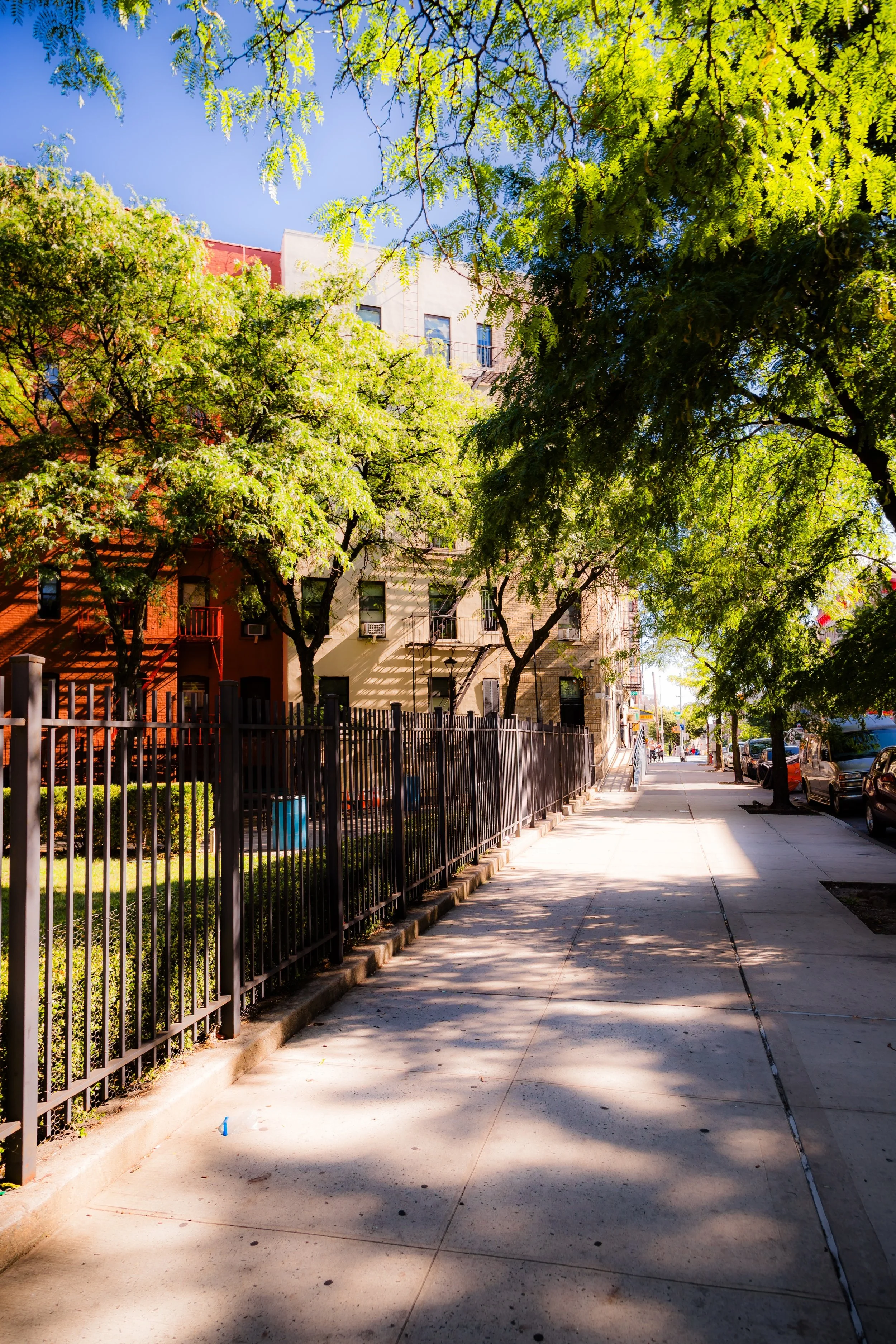 A sunny city sidewalk with trees casting shadows, parked cars, and residential buildings in the background.