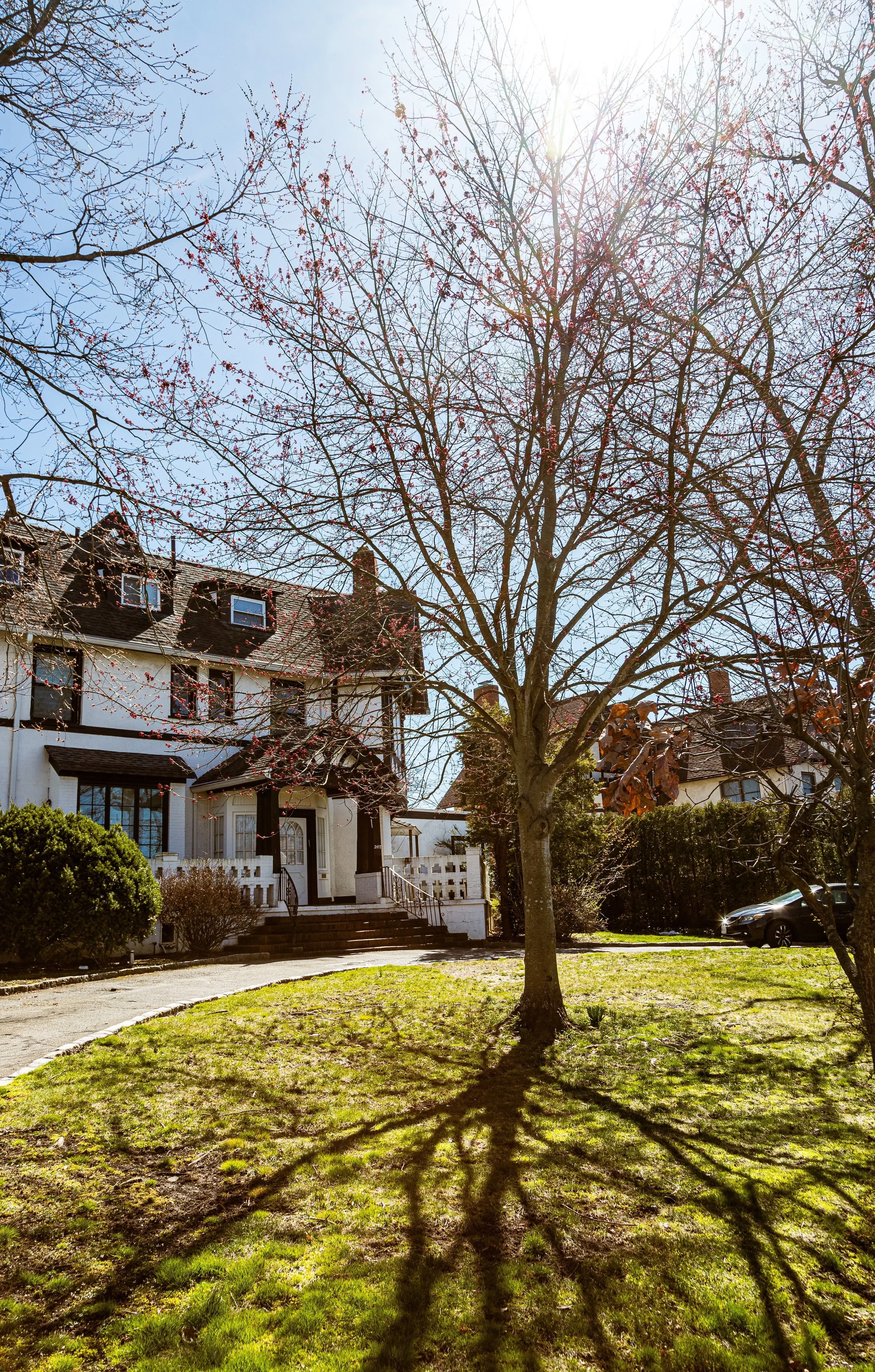 A residential house with a tree in front casting a shadow on the grassy lawn during sunny weather.