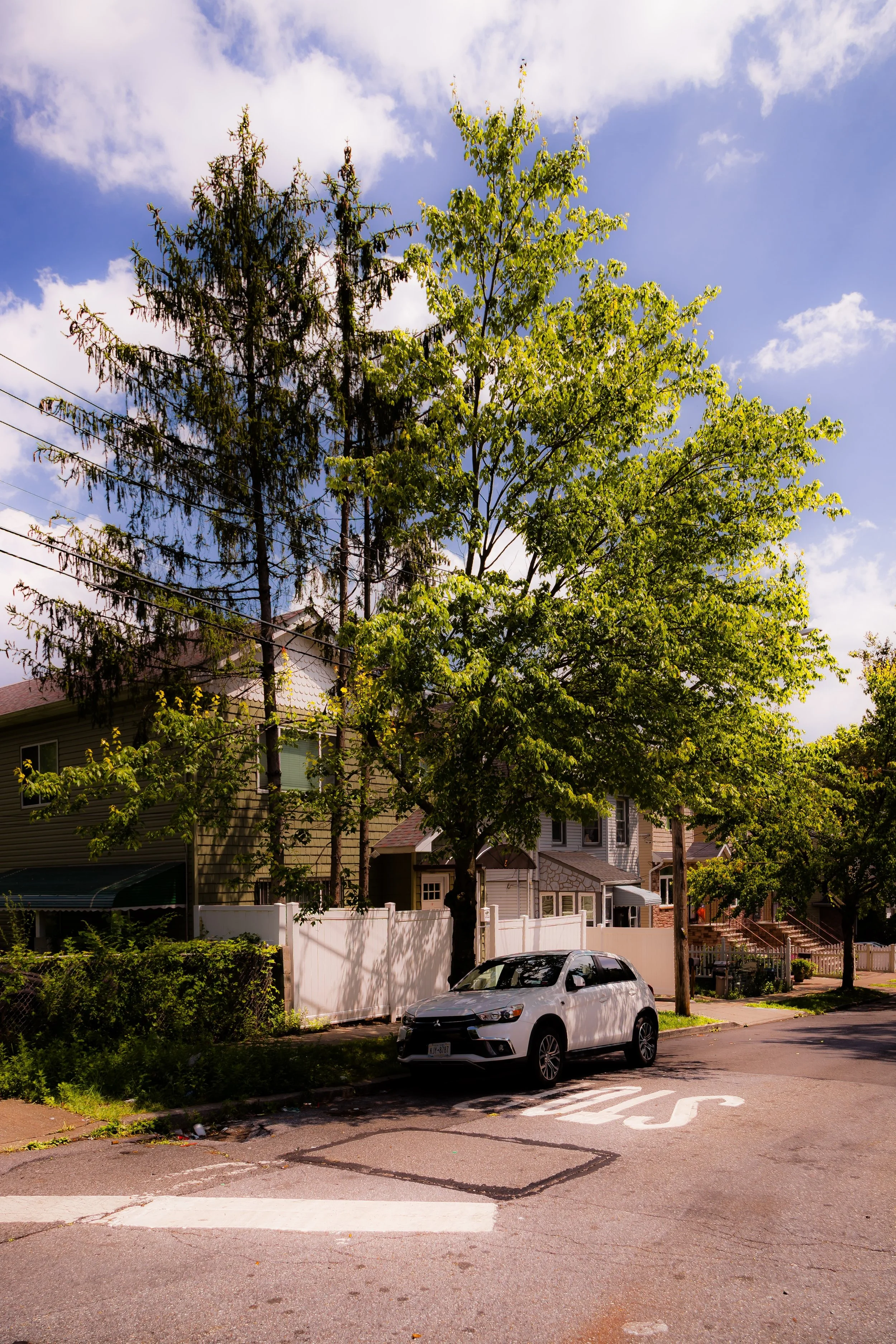 A street corner with a white car parked near a white fence, tall leafy trees, residential houses, and a sky with clouds.
