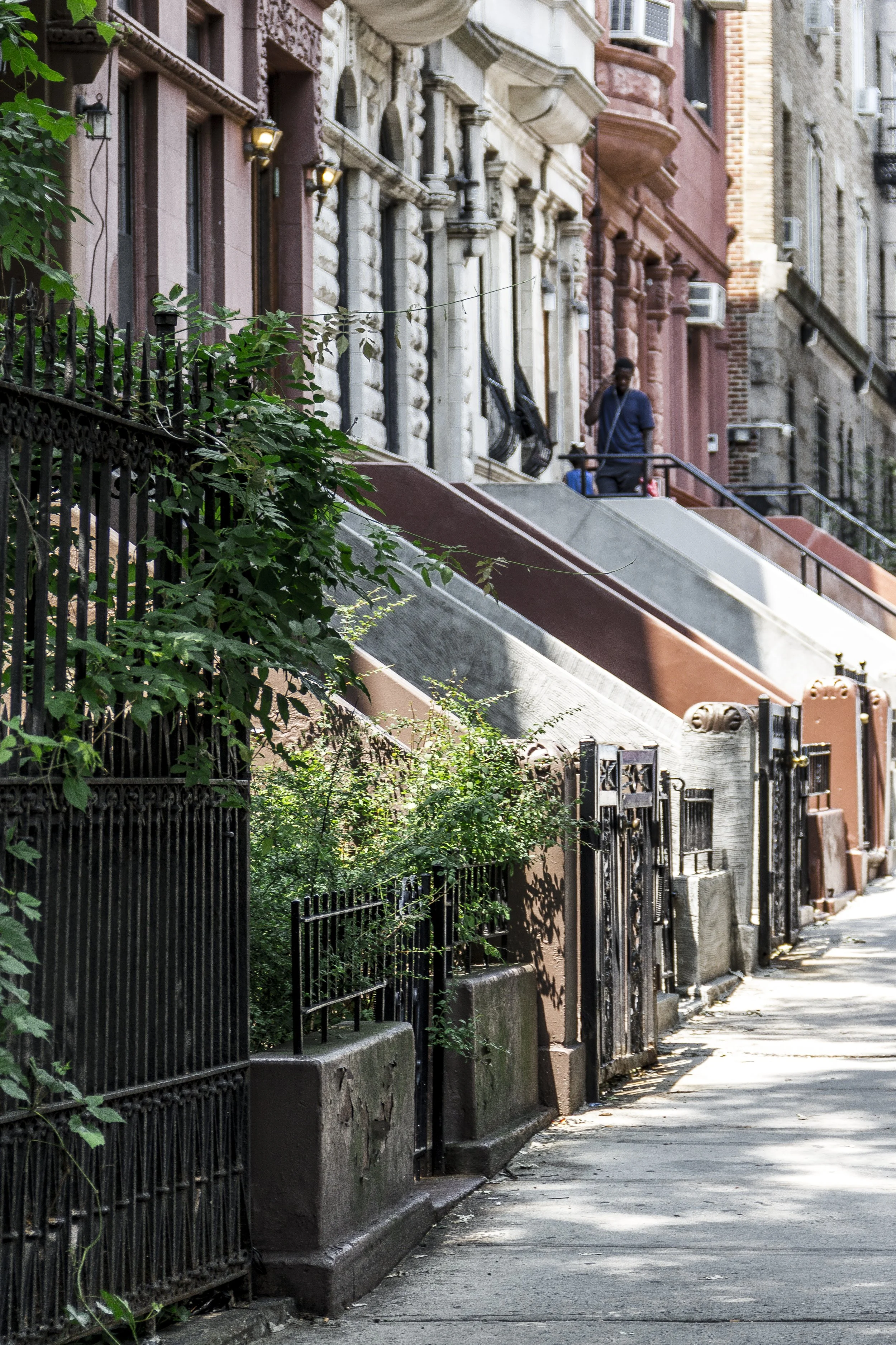 Row of brownstone buildings with front stairs, black wrought iron fences, and greenery on sidewalk, in an urban neighborhood.