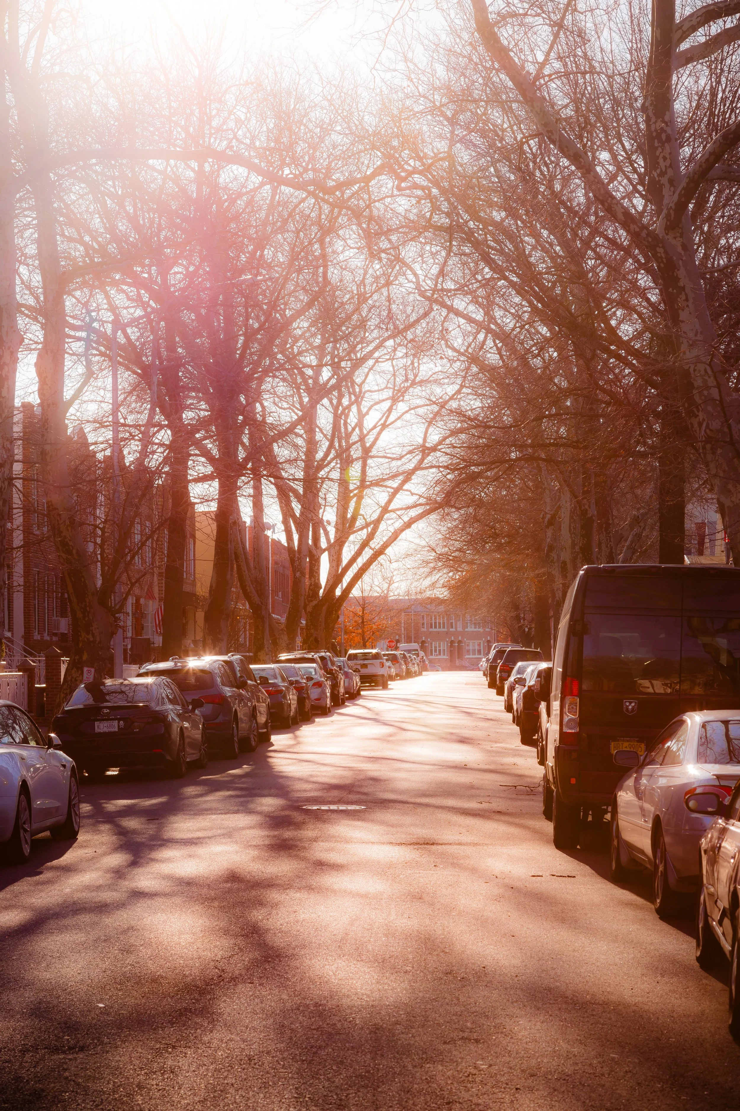 A quiet residential street with parked cars on both sides, leafless trees lining the sidewalk, and sunlight filtering through the branches, creating a warm glow.