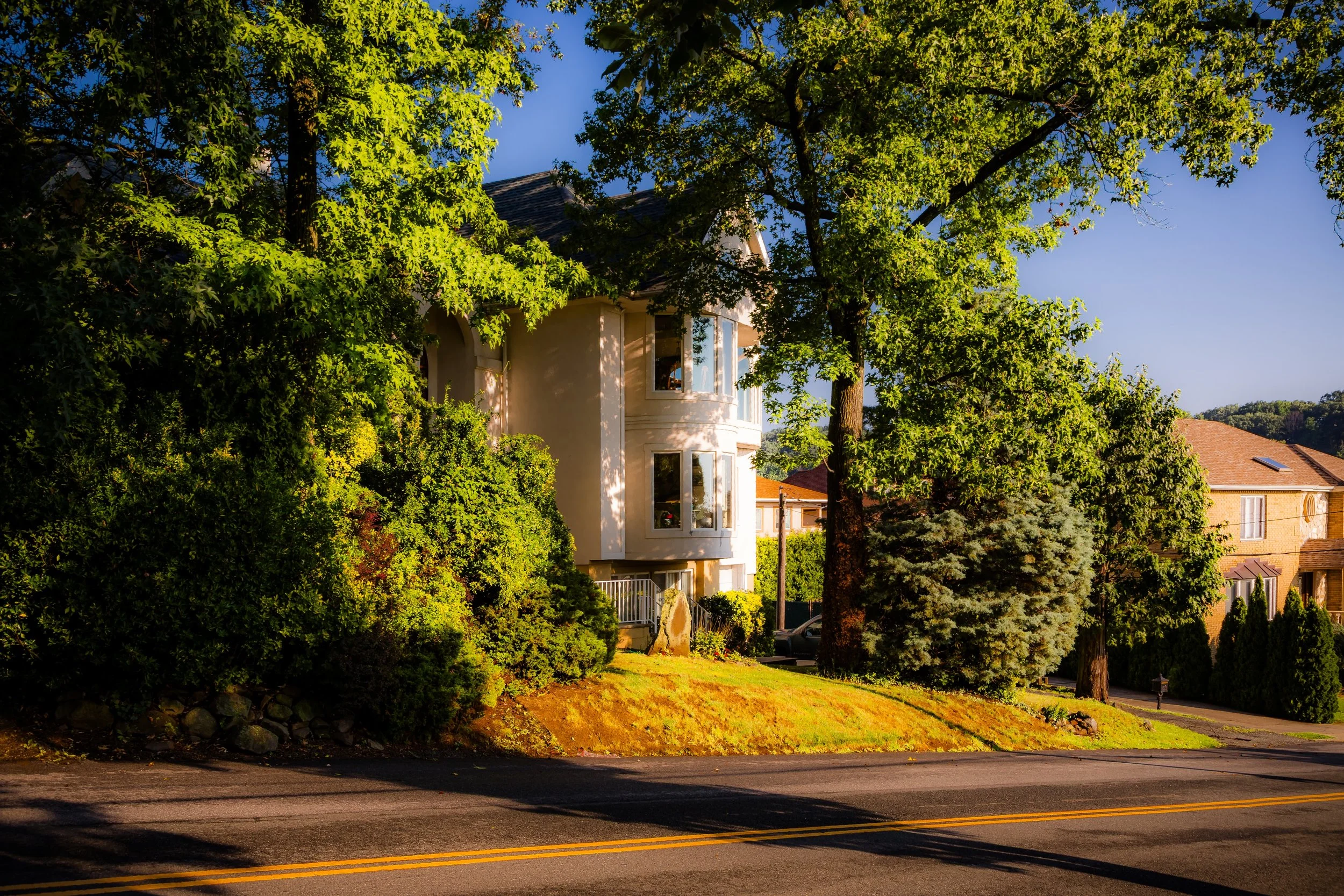 A residential house with a rounded bay window, partially obscured by large leafy trees and shrubs, on a sunny day.