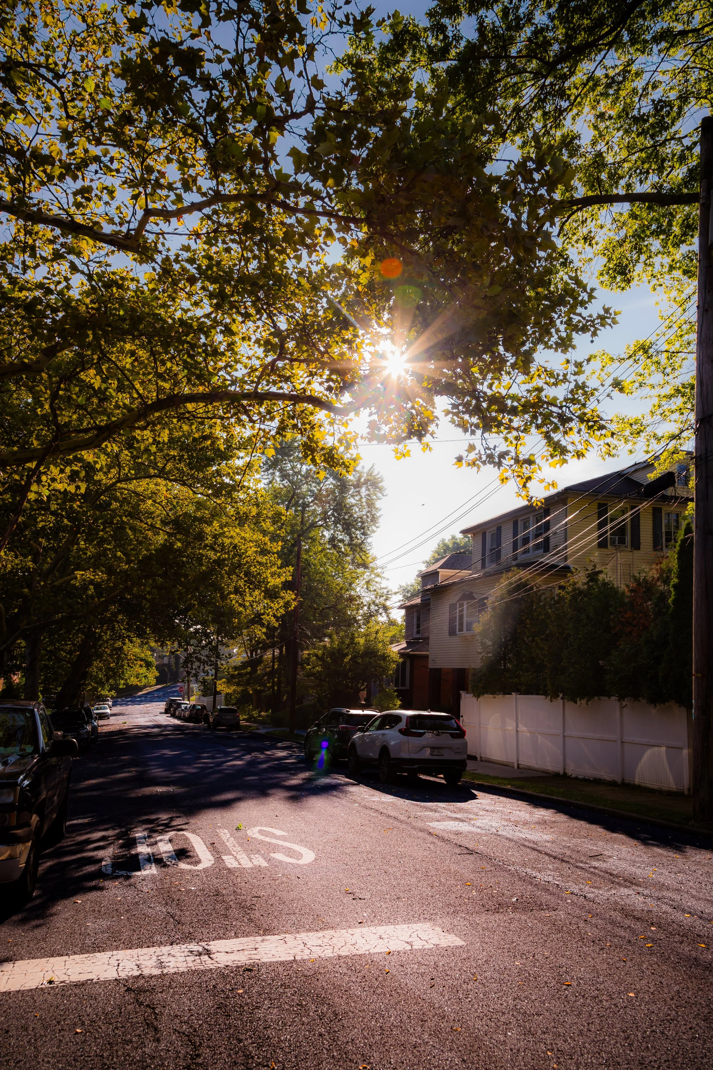 A quiet residential street lined with parked cars and houses, with sunlight shining through trees overhead and a stop sign painted on the road.