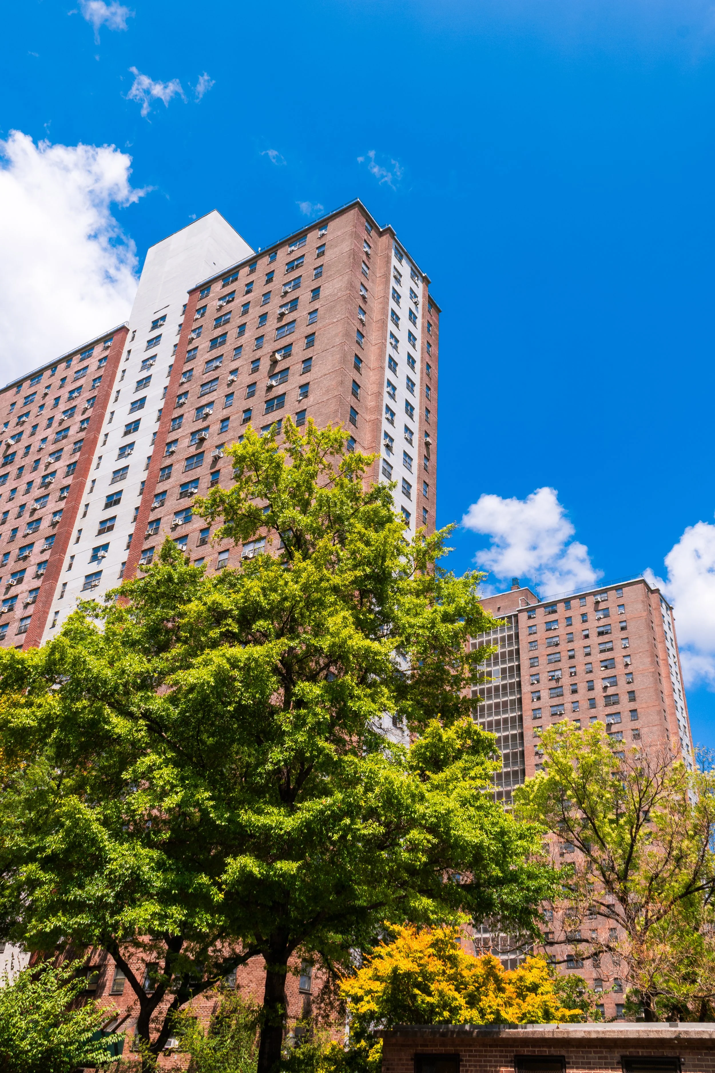 A tall residential building with many windows under a bright blue sky with a few clouds, partially obscured by lush green trees in the foreground.