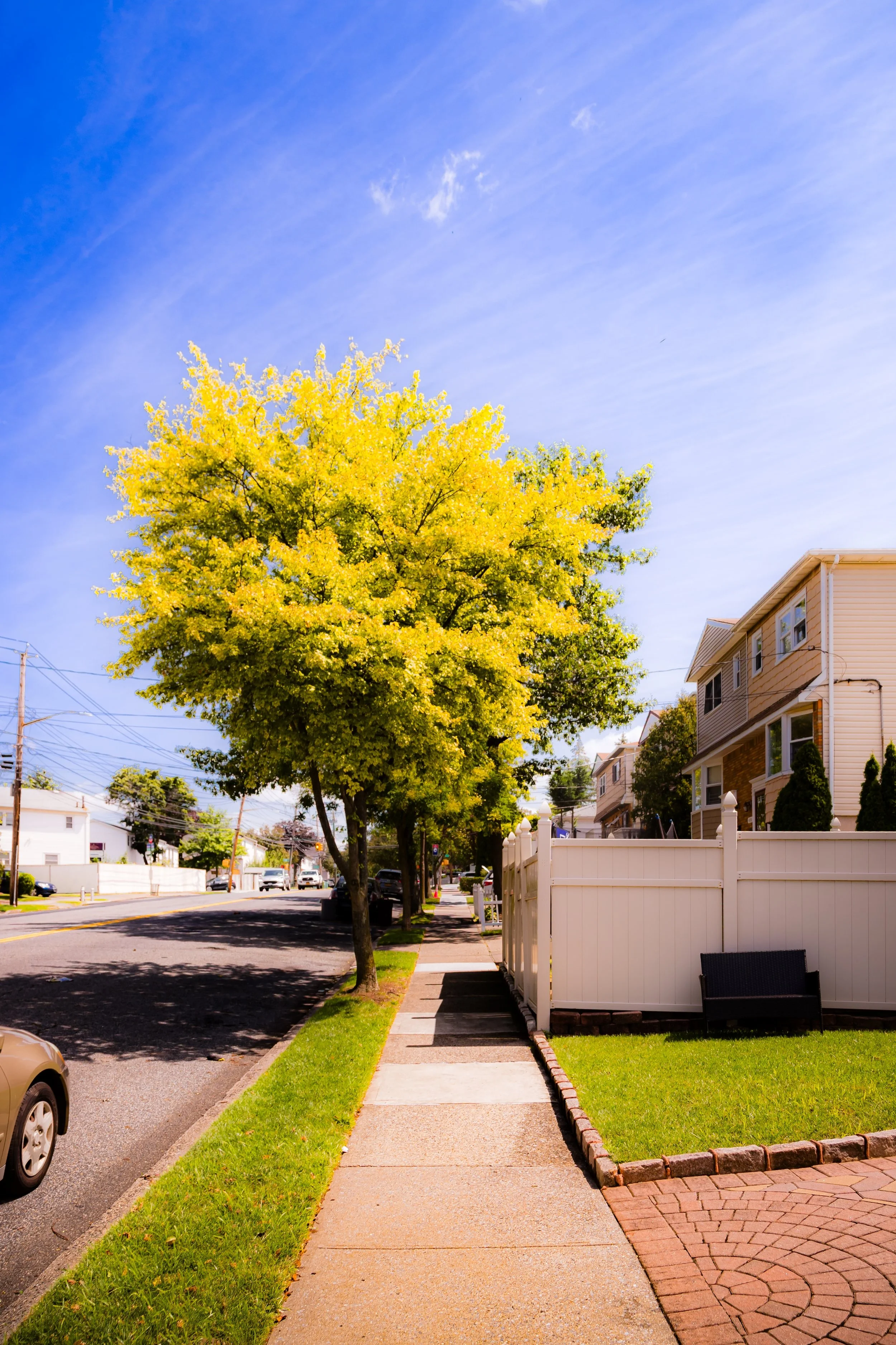 A sidewalk lined with green grass and trees, with houses in the background and a blue sky overhead.