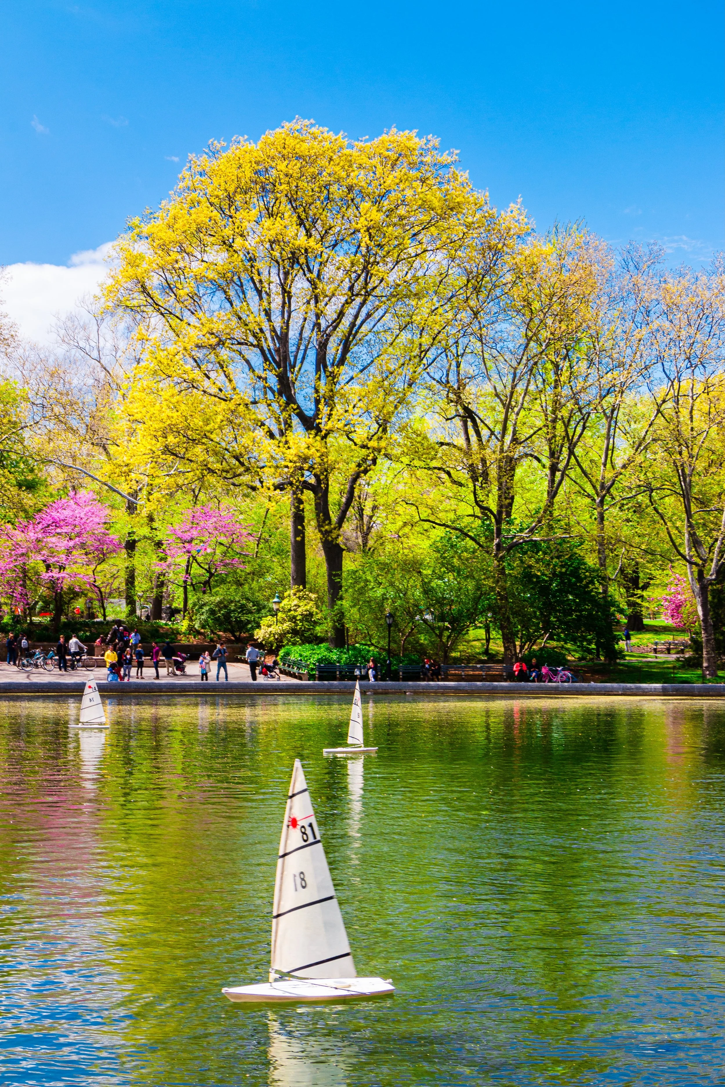 Lush park with colorful trees, a lake with model sailboats, and people walking on a path under a bright blue sky.