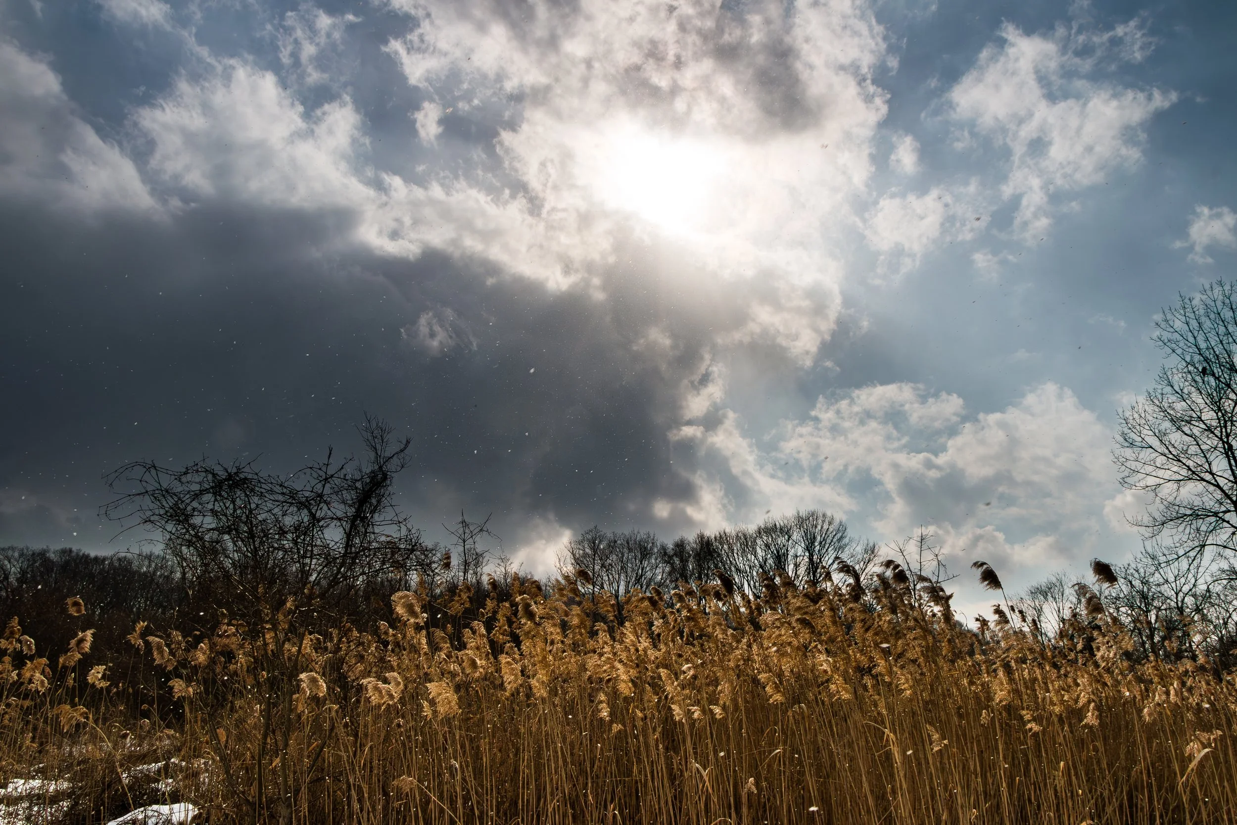 Cloudy sky with the sun shining behind dark clouds over dry grass and leafless trees.
