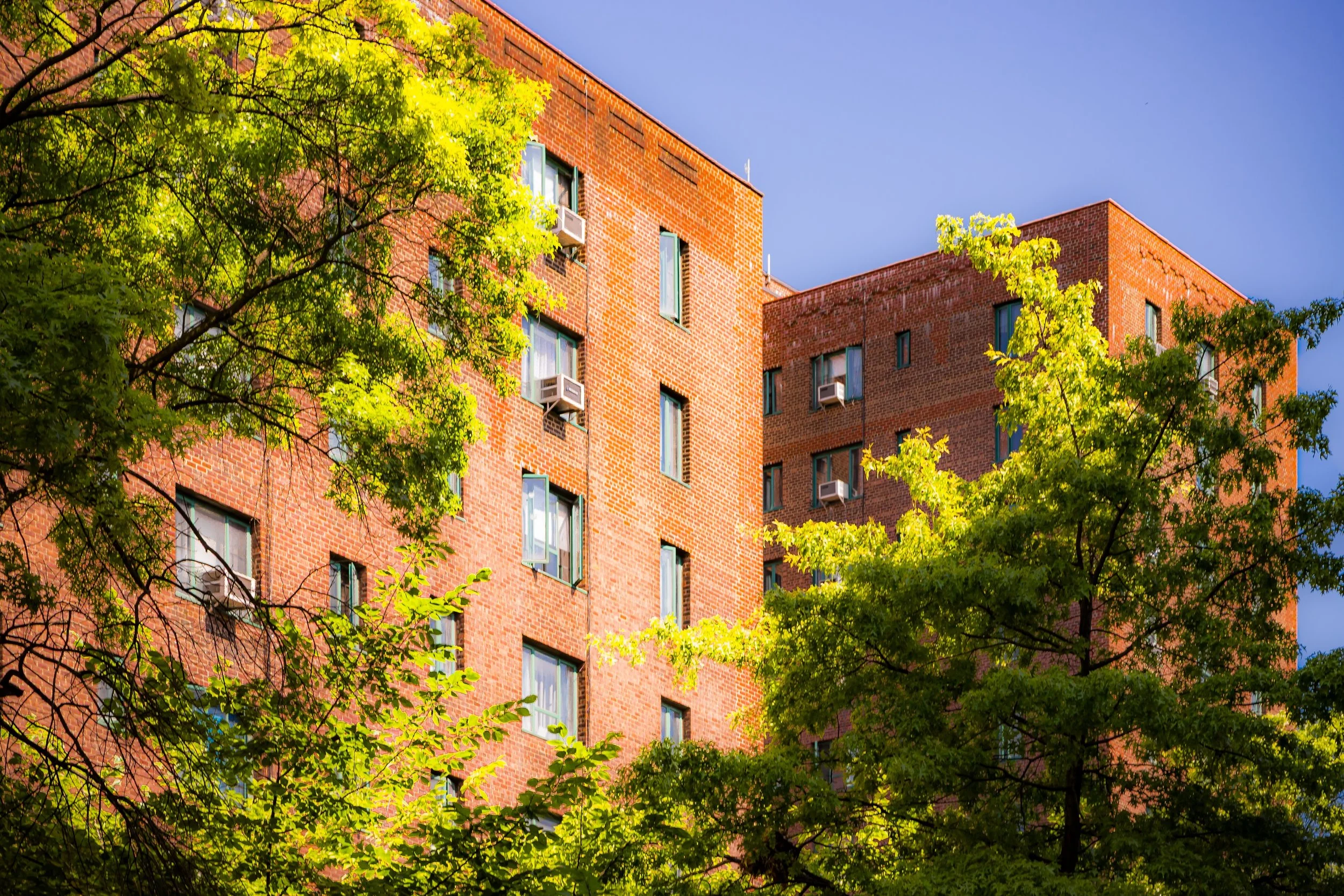 Red brick residential buildings with windows and air conditioning units, partially obscured by green trees under a blue sky.