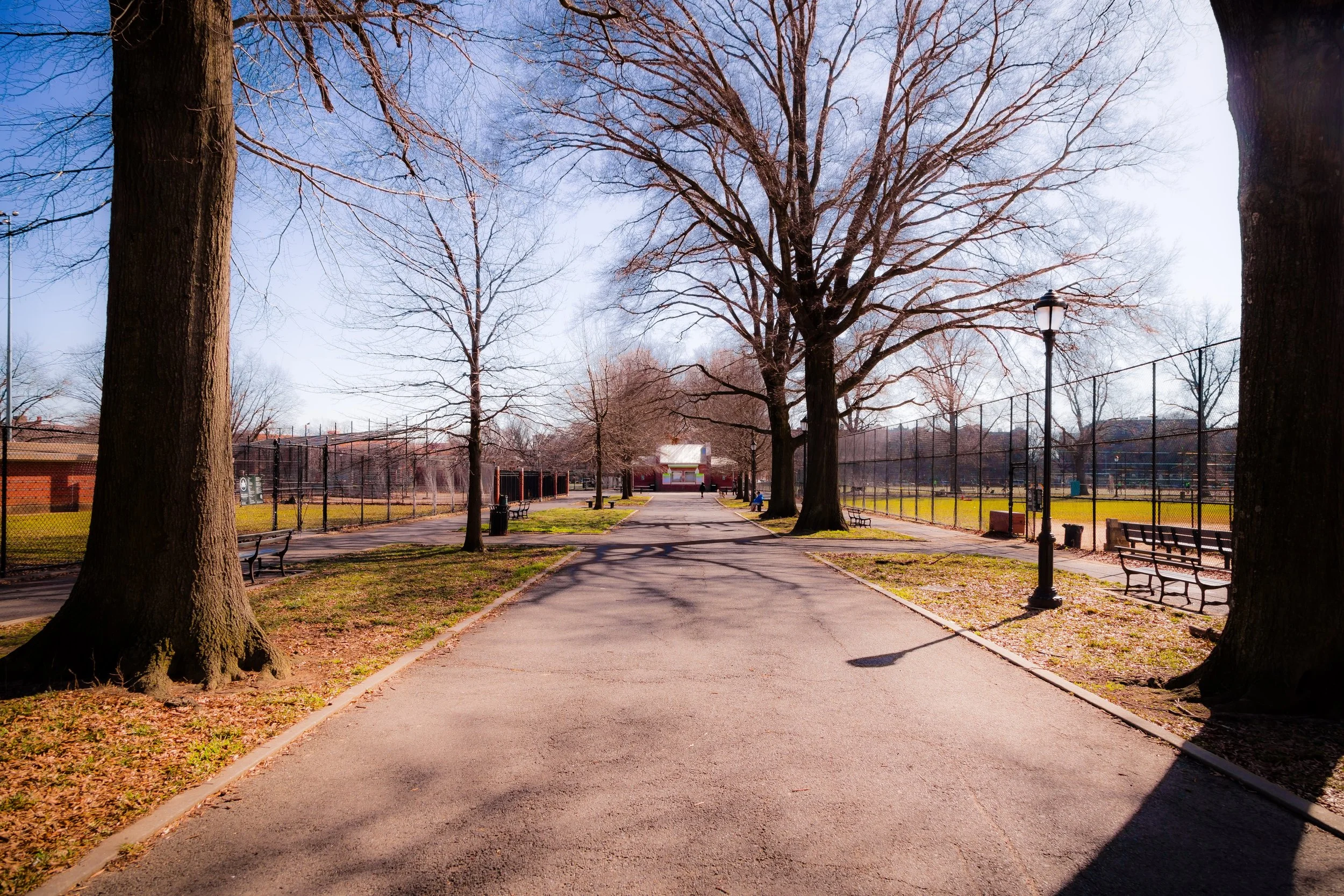 A park pathway lined with large leafless trees, benches, and lampposts, with a baseball or softball field enclosed by a fence on the right side and a building or structure in the background.