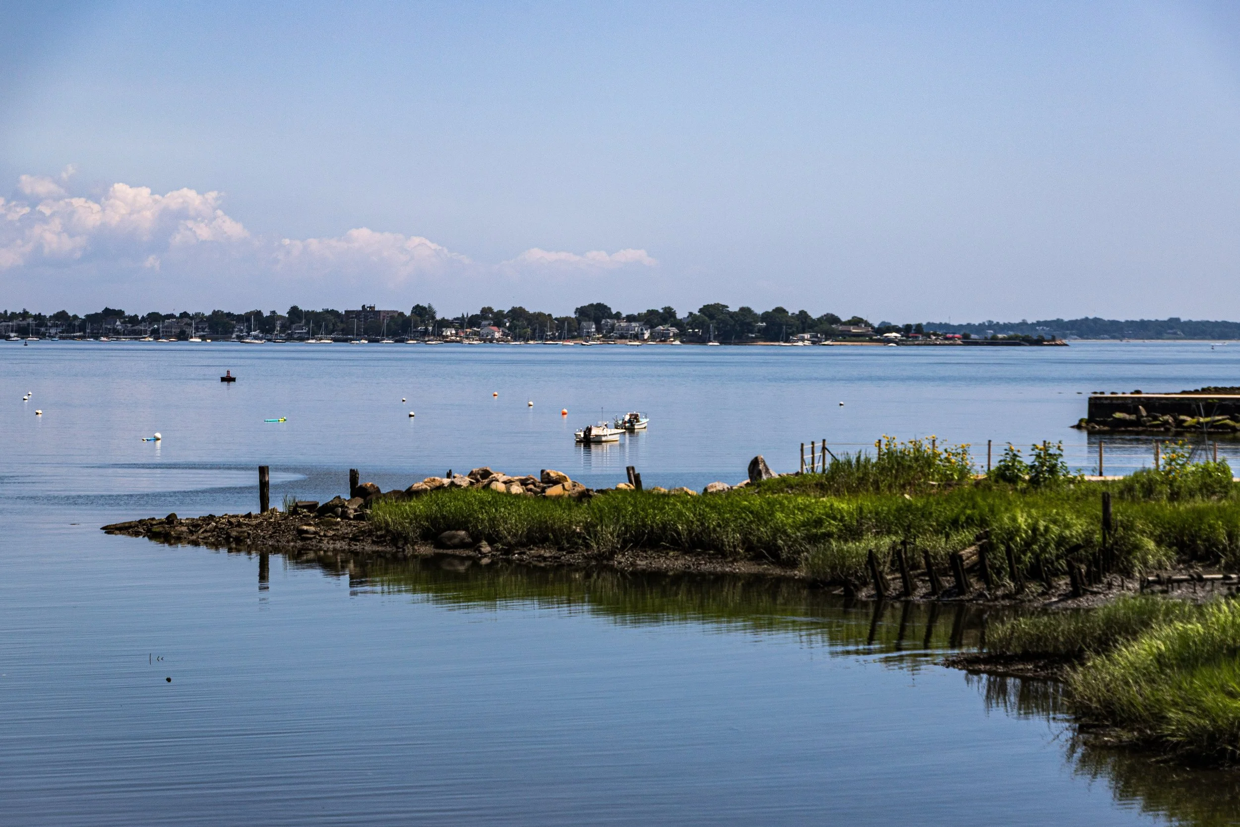 A peaceful shoreline scene with calm water, small boats floating, and houses along the distant shoreline under a blue sky with scattered clouds.