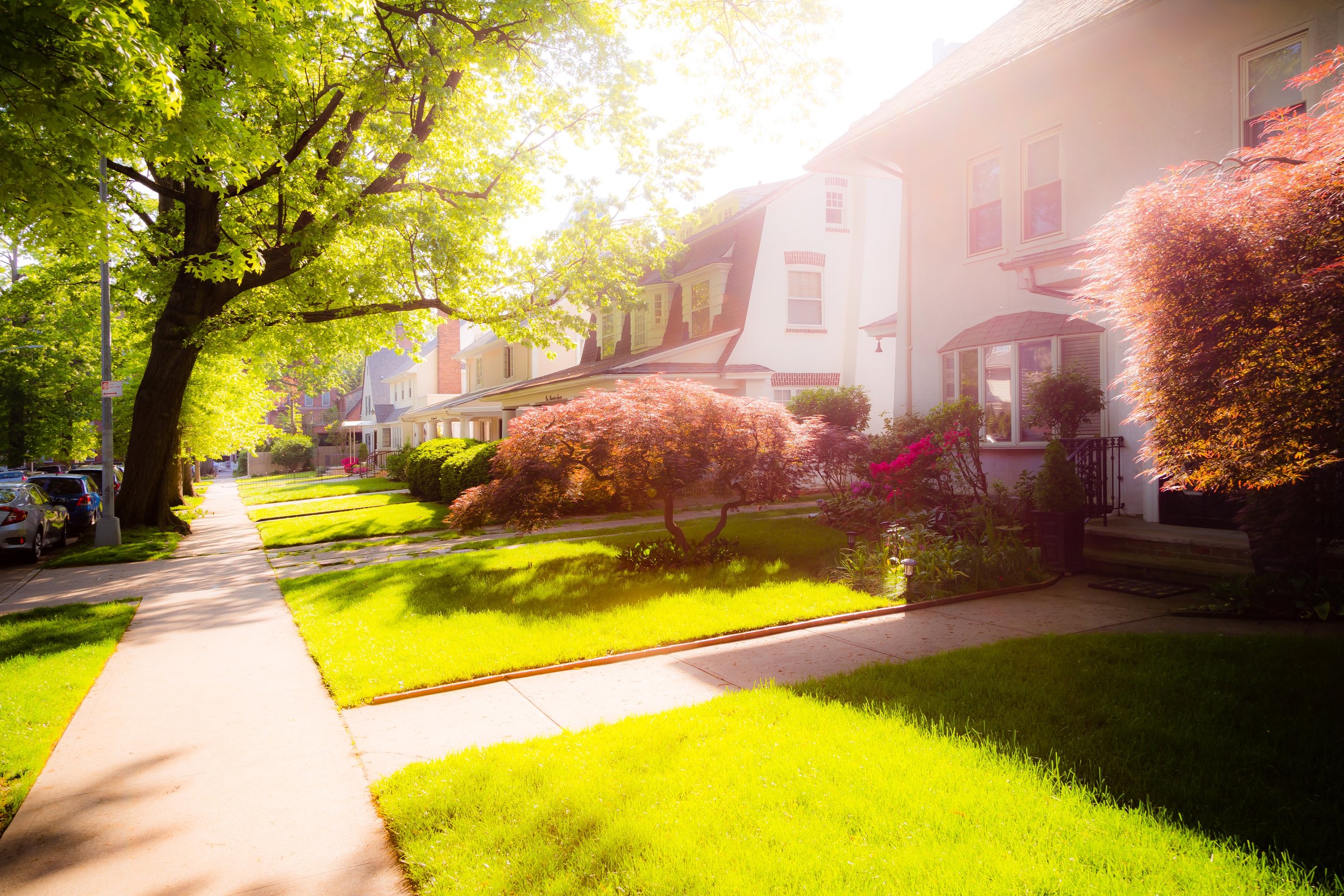 Sunlit residential neighborhood with a sidewalk, green lawns, large trees, flowering bushes, and houses with front porches.