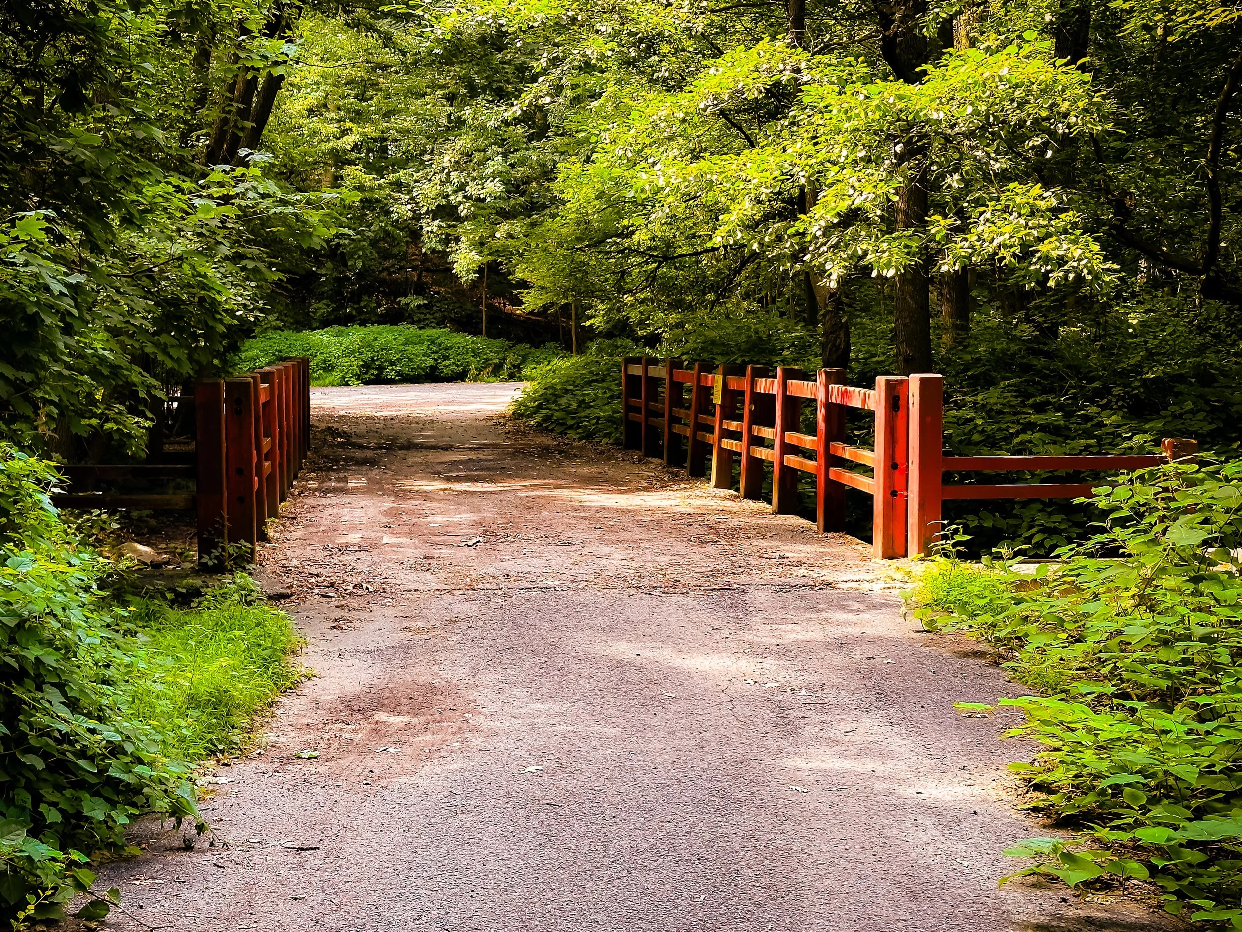 A dirt pathway in a lush green forest with a wooden fence on both sides.
