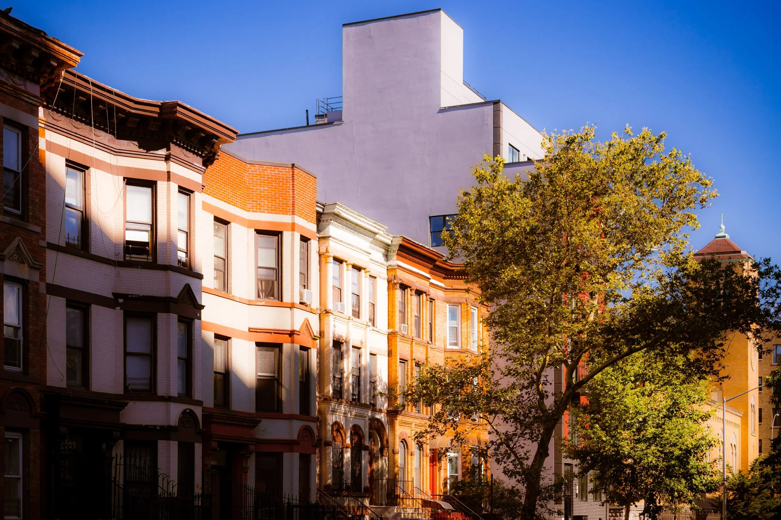 City street with colorful row of brownstone buildings, a large green tree, and a modern white building in the background under a clear blue sky.