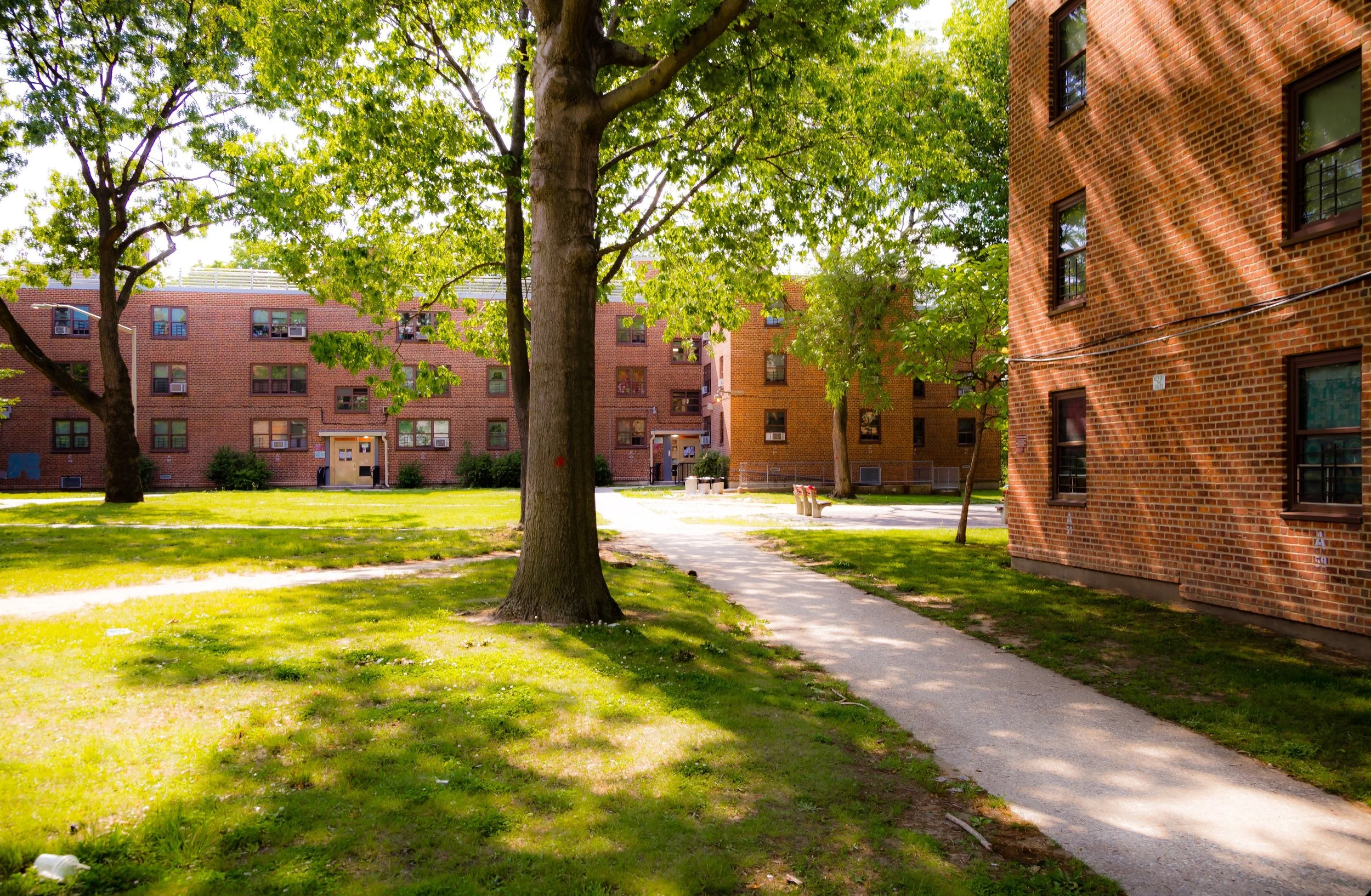 A green grassy courtyard with large trees, a walking path, and brick apartment buildings in the background on a sunny day.