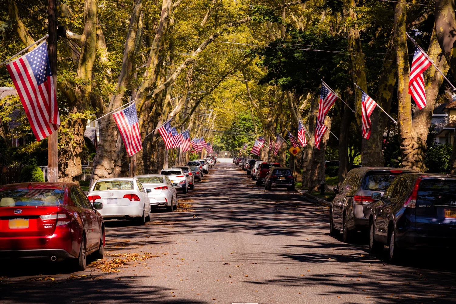 New Springville Staten Island Neighborhoods — CityNeighborhoods.NYC