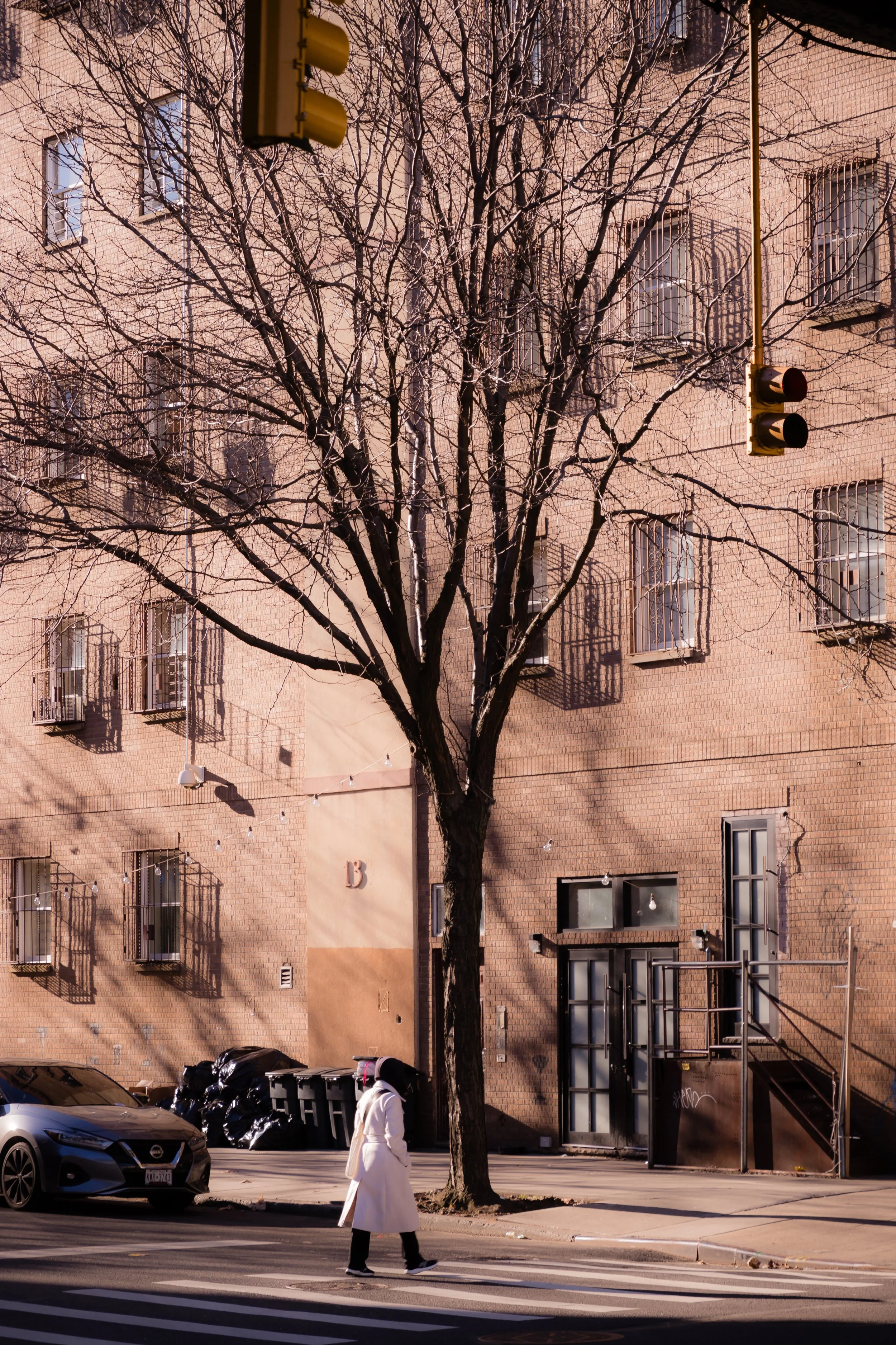 A person walking on a crosswalk in front of a brick apartment building with leafless trees and parked cars, sunlight casting shadows.