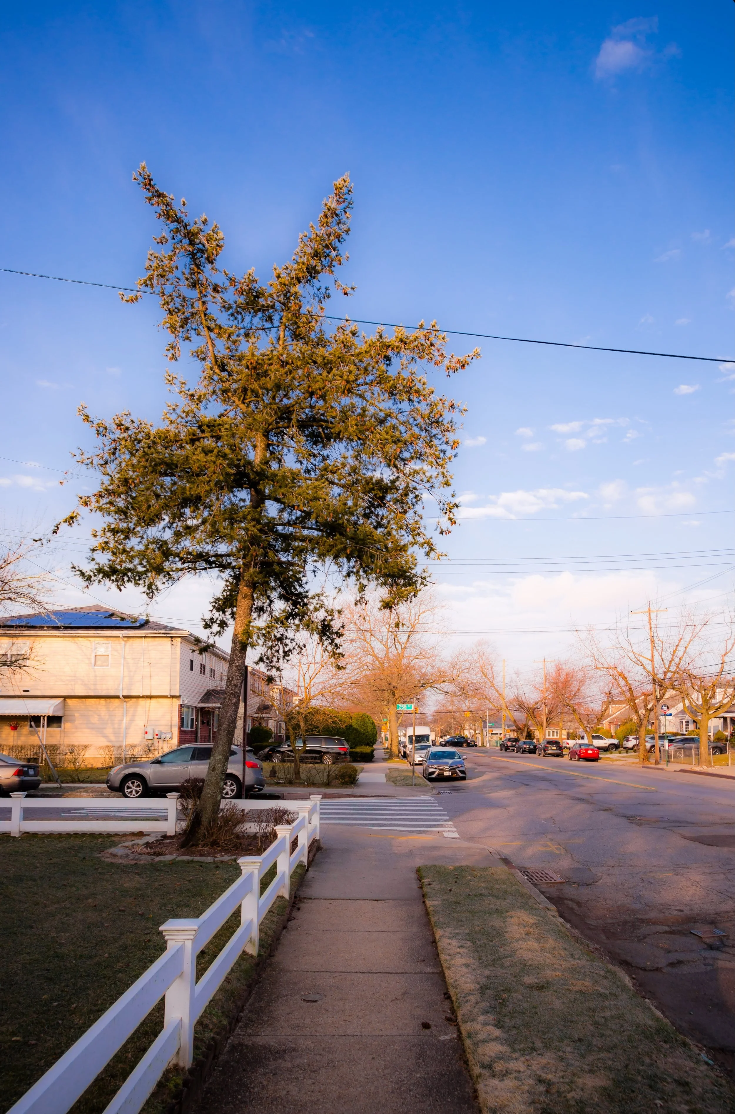 A street view during daytime with a tall pine tree in the foreground, residential houses lined along the street, parked cars, leafless trees, and utility wires under a partly cloudy blue sky.
