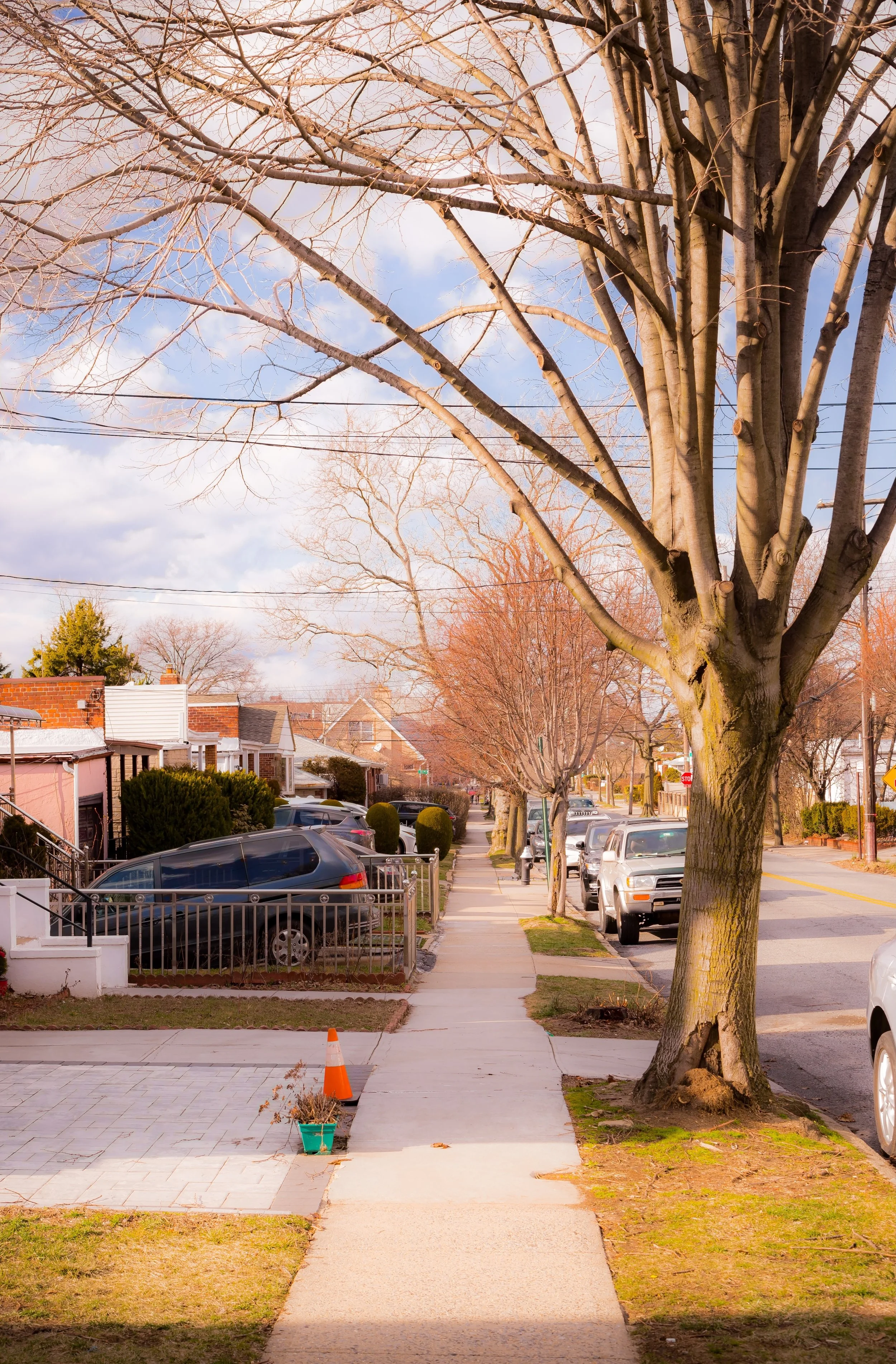A suburban neighborhood street with leafless trees, parked cars, sidewalk, and houses in the background during what appears to be late fall or winter.