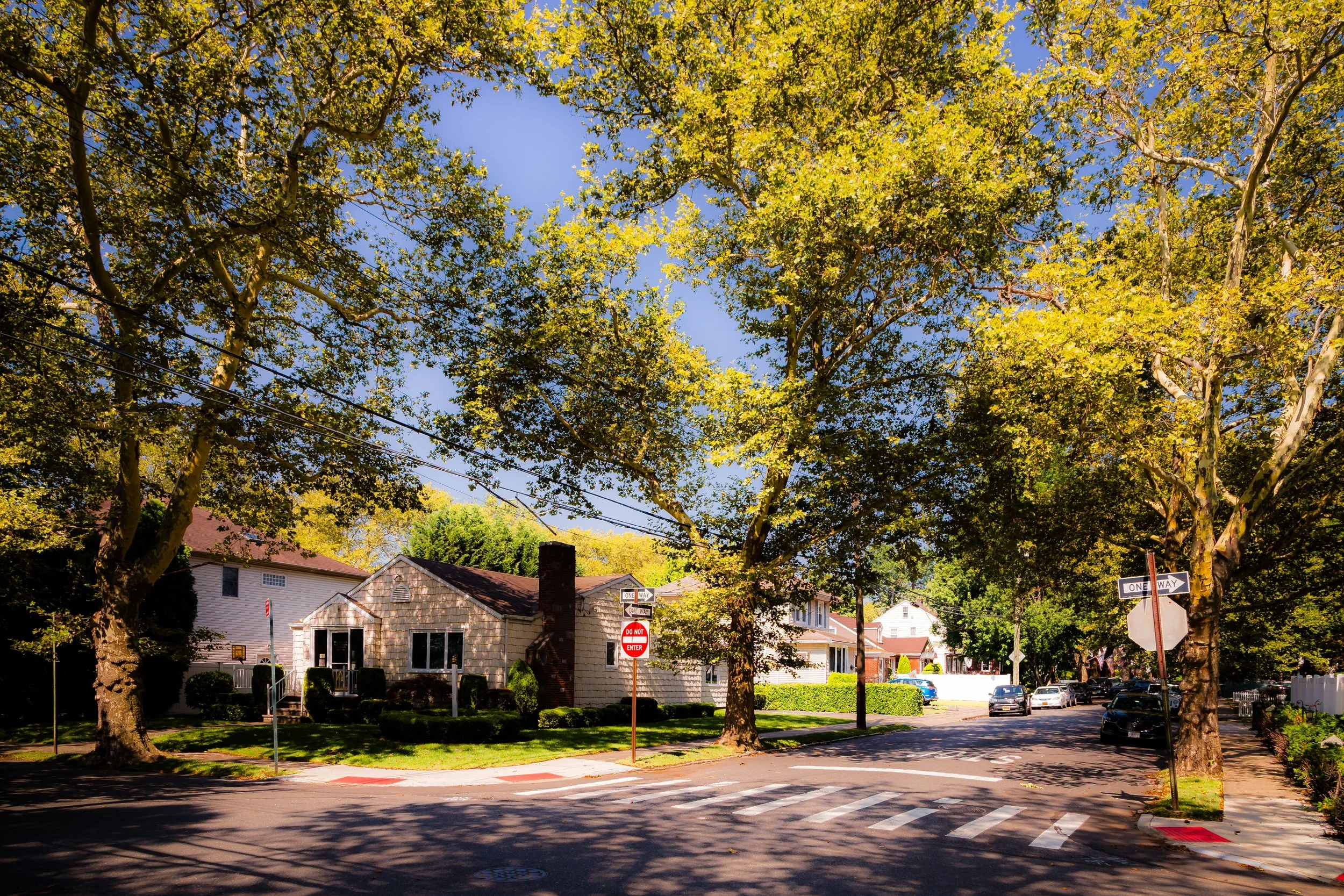 A suburban street corner with tall trees casting shadows, houses with well-kept lawns, and cars parked along the street on a sunny day.